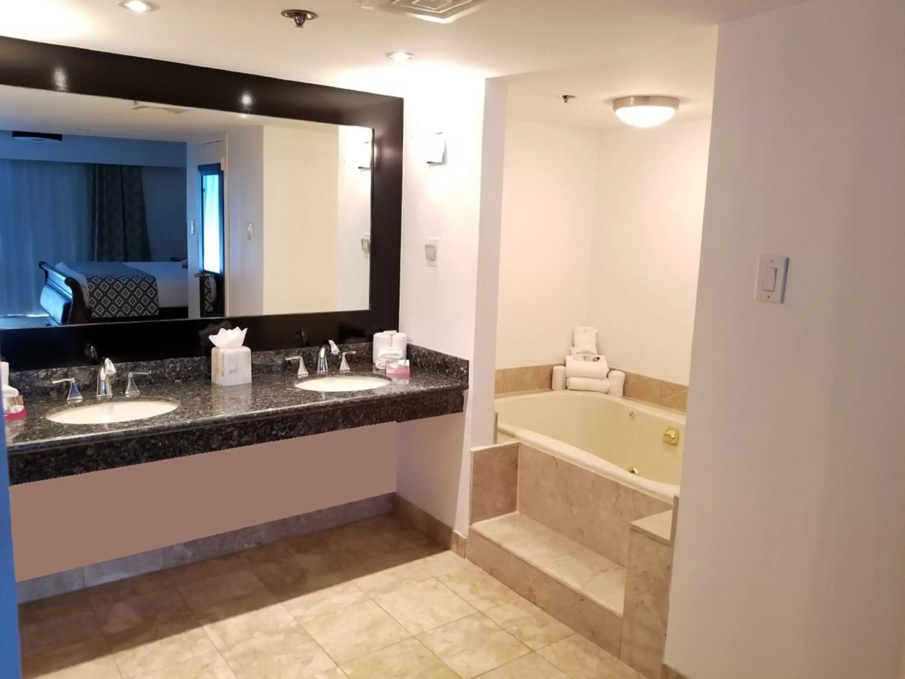 Photo of the whole room, Bathroom in Wyndham Houston near NRG Park - Medical Center