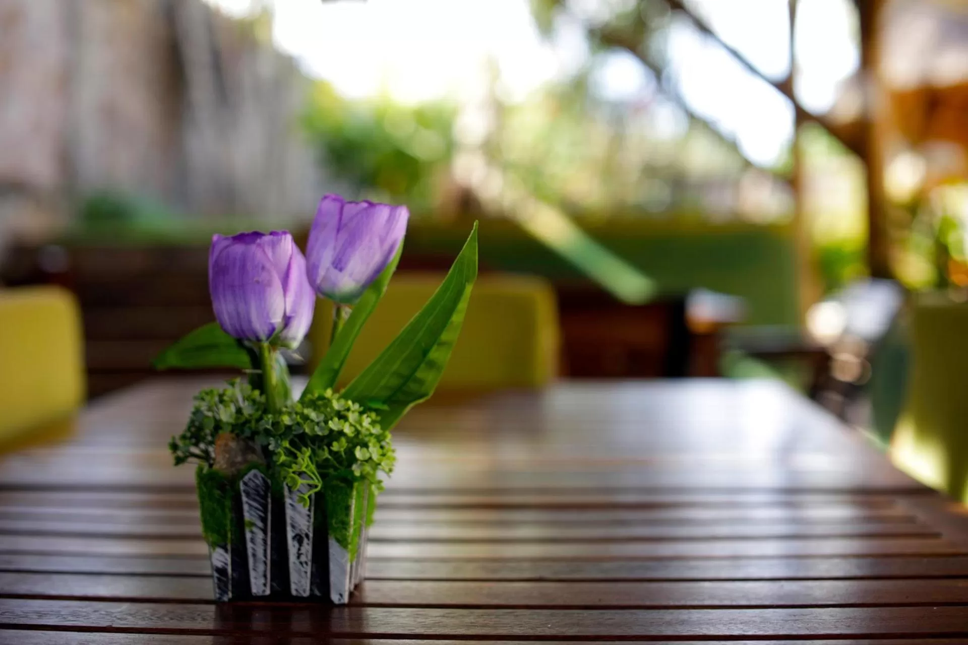 Day in Entebbe Palm Hotel