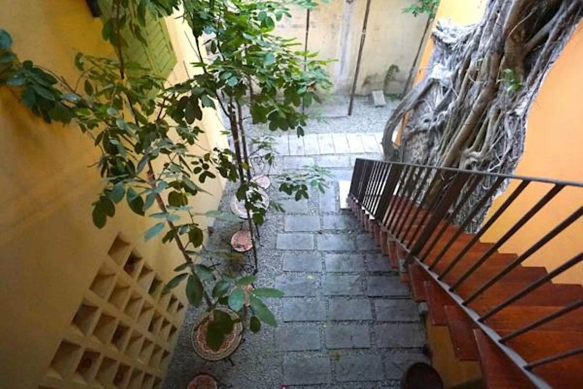 Garden in Spices Hotel