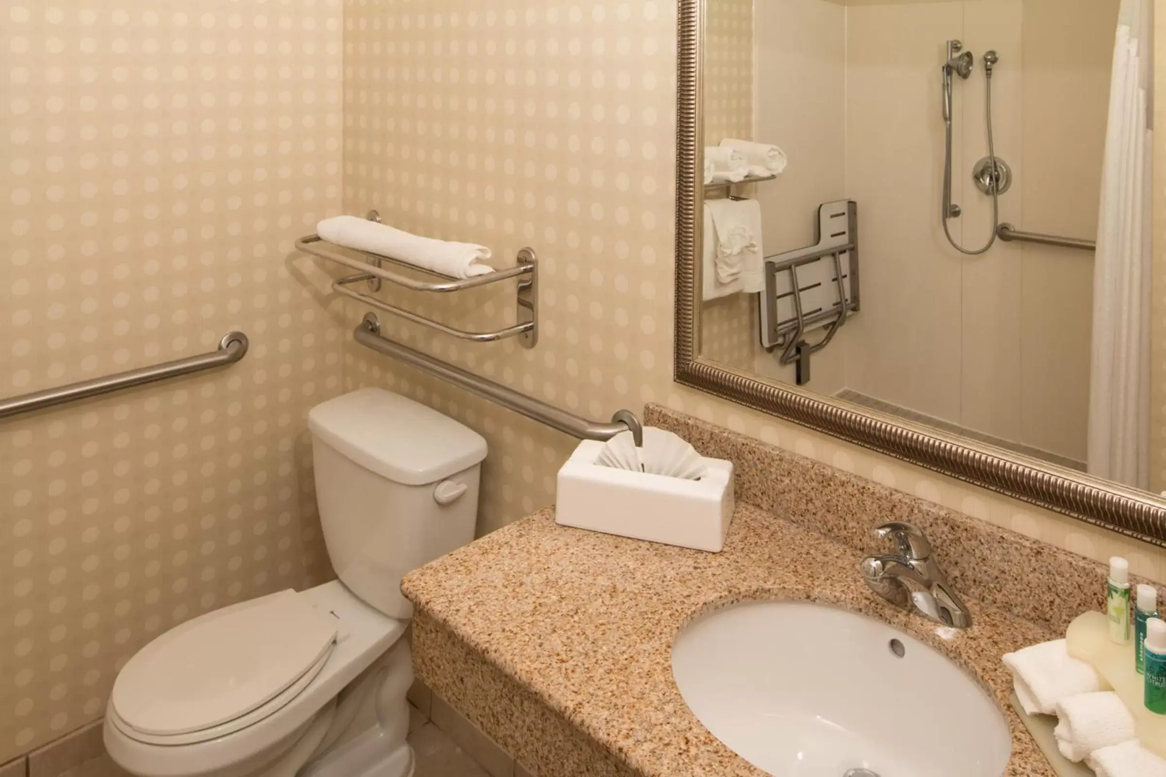 Bathroom in Holiday Inn Express Hotel & Suites Greensboro - Airport Area, an IHG Hotel