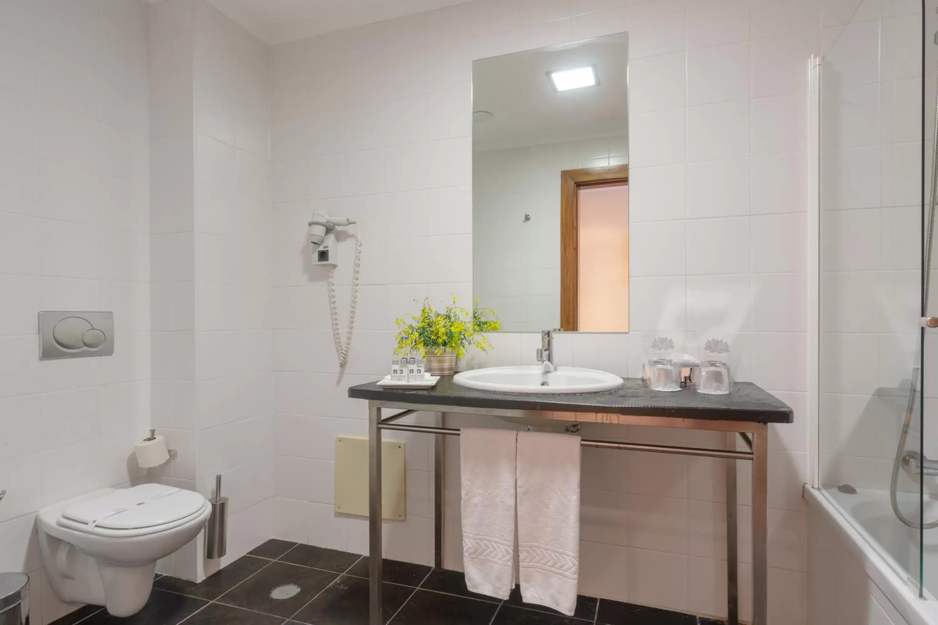 Toilet, Bathroom in Luna Hotel Serra da Estrela