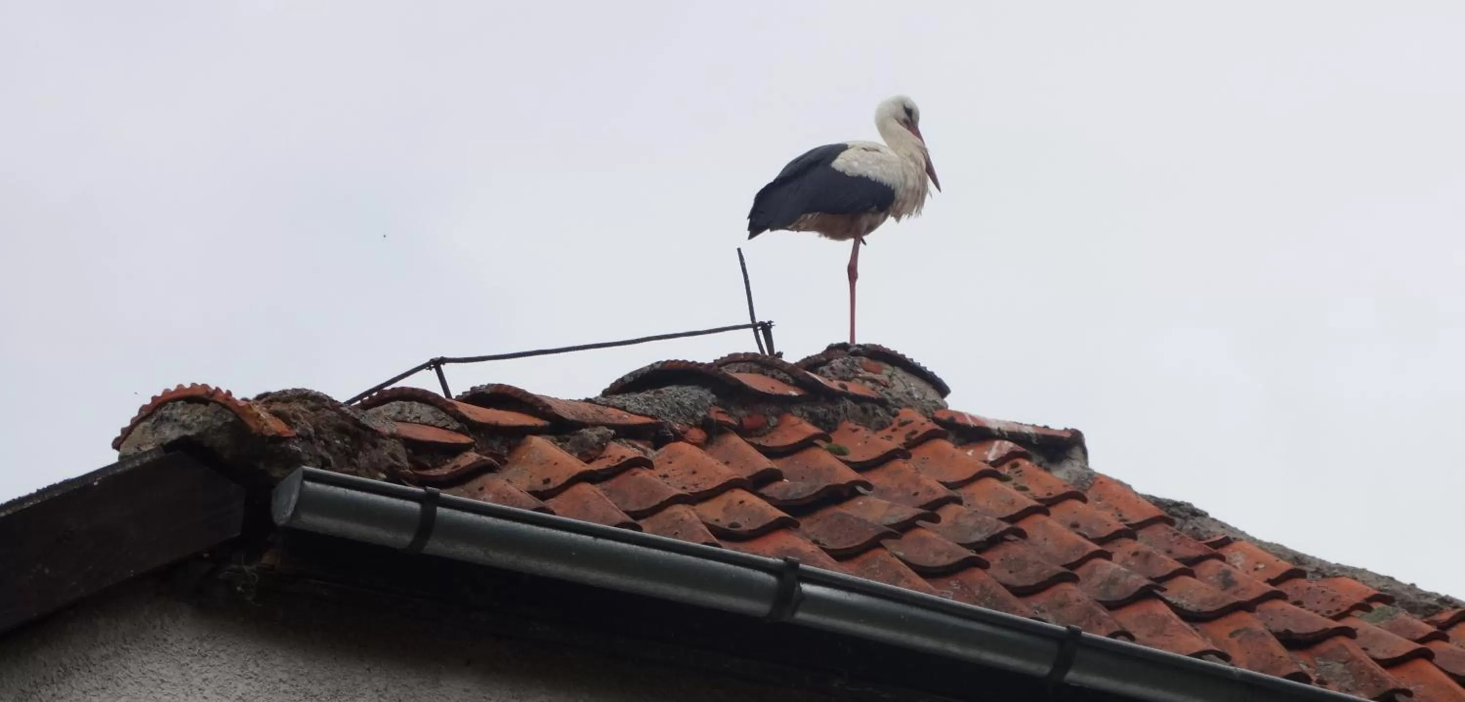 Day in Dom na Mazurach Pilec