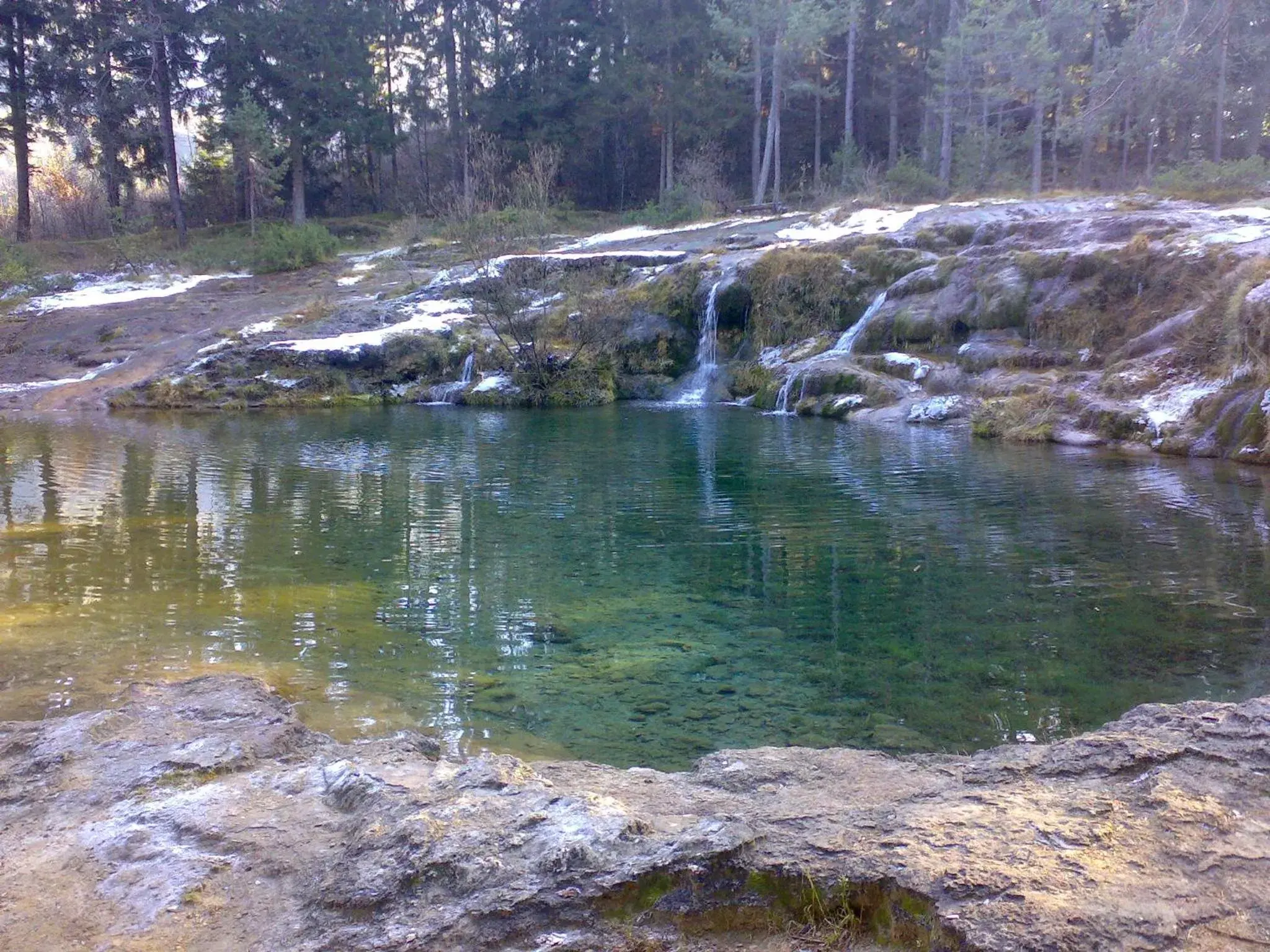 Natural landscape, Other Animals in Hotel Belvedere Dolomiti