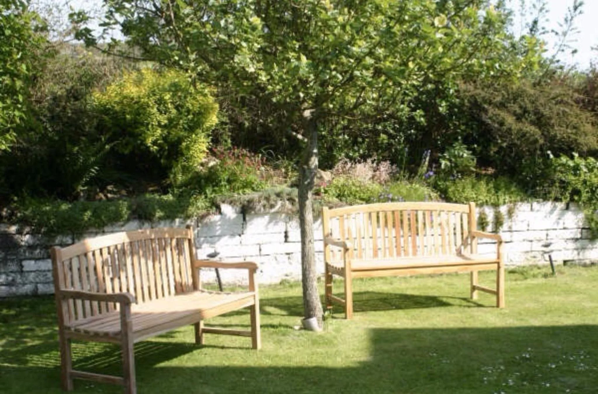 Garden in Ramsey House - Luxury Licensed B&B - Parking and Guest Lounge