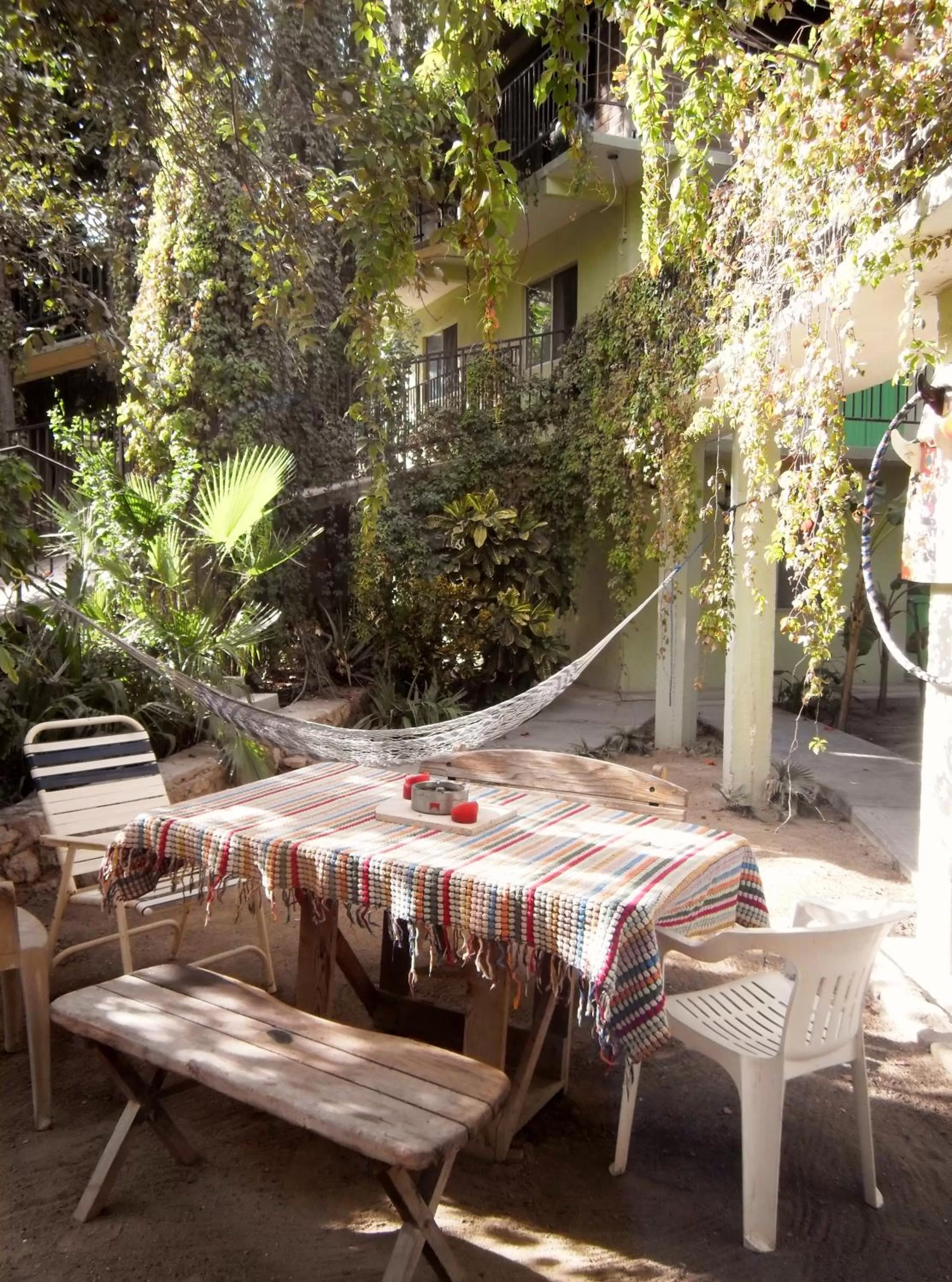 Garden in Hotel Posada Señor Mañana