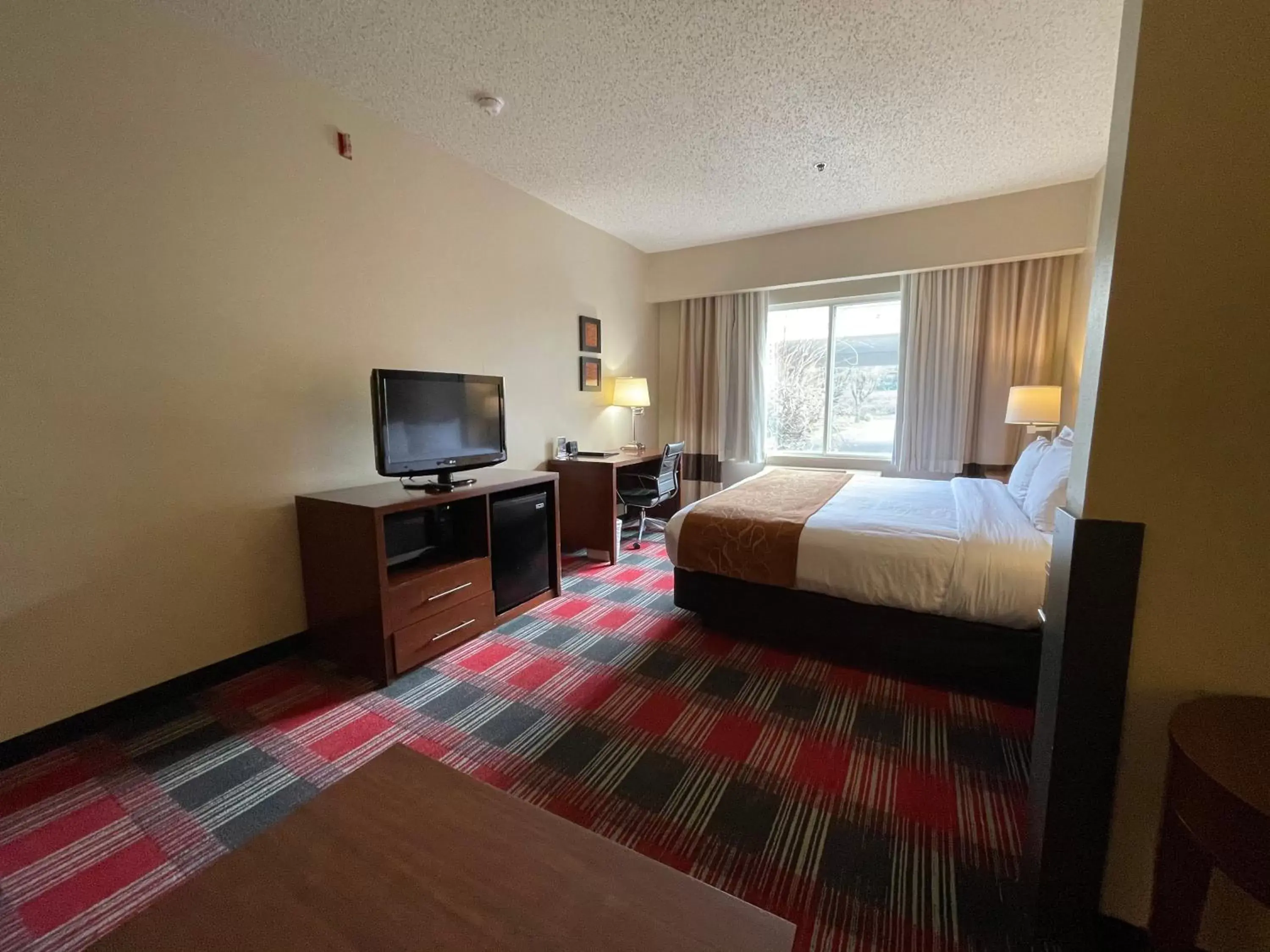 King Suite with Roll in Shower - Mobility Accessible/Non-Smoking in Comfort Suites Near Vancouver Mall King Suite with Roll in Shower - Mobility Accessible/Non-Smoking in Comfort Suites Near Vancouver Mall