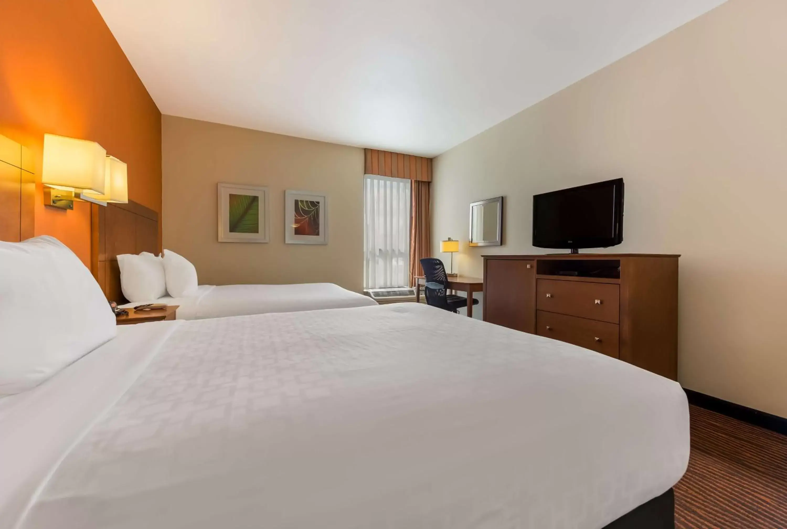 Bedroom, Bed in Best Western Executive Hotel New Haven-West Haven