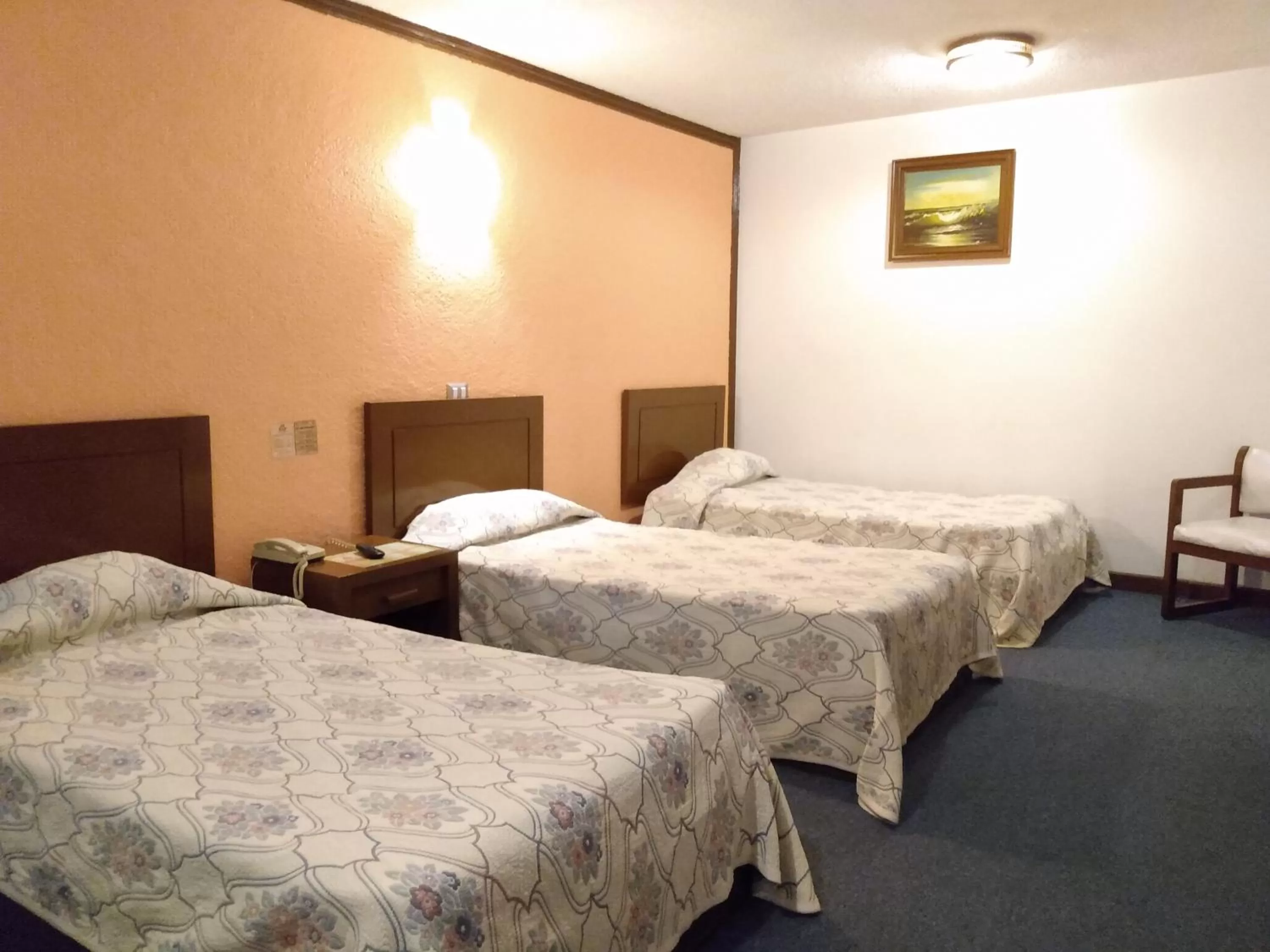 Photo of the whole room, Bed in Hotel Maria Victoria Xalapa