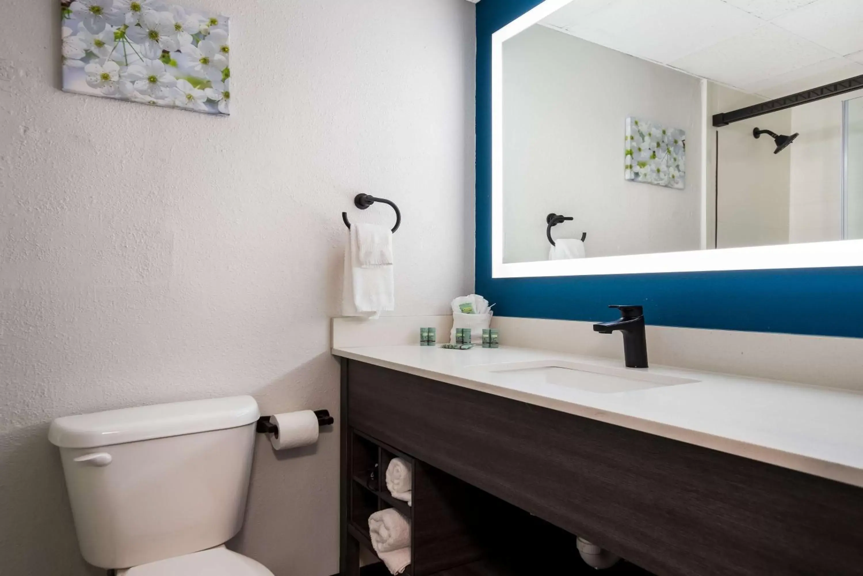 Bedroom, Bathroom in Best Western Bordentown Inn