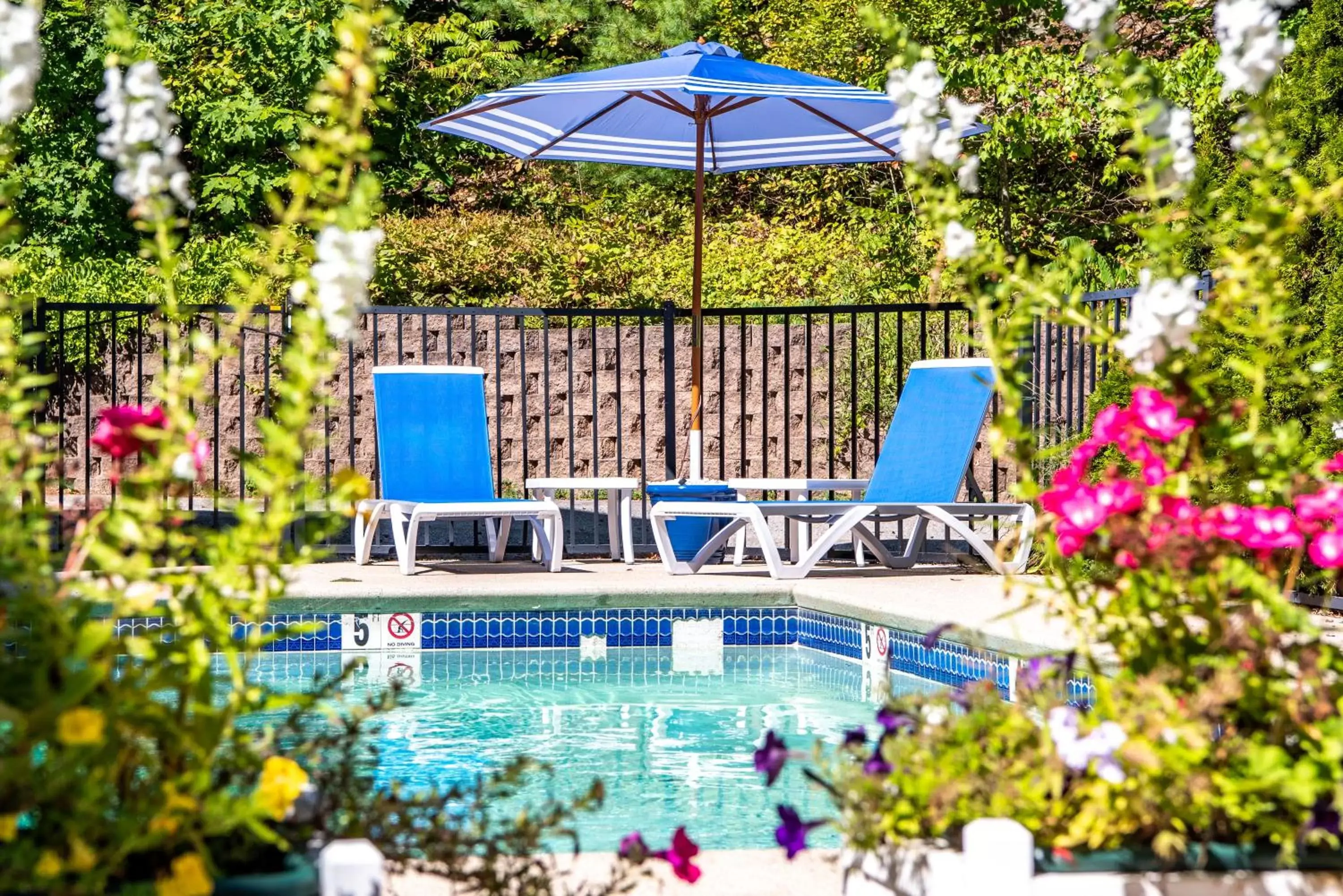 Swimming Pool in Admiral's Inn Resort