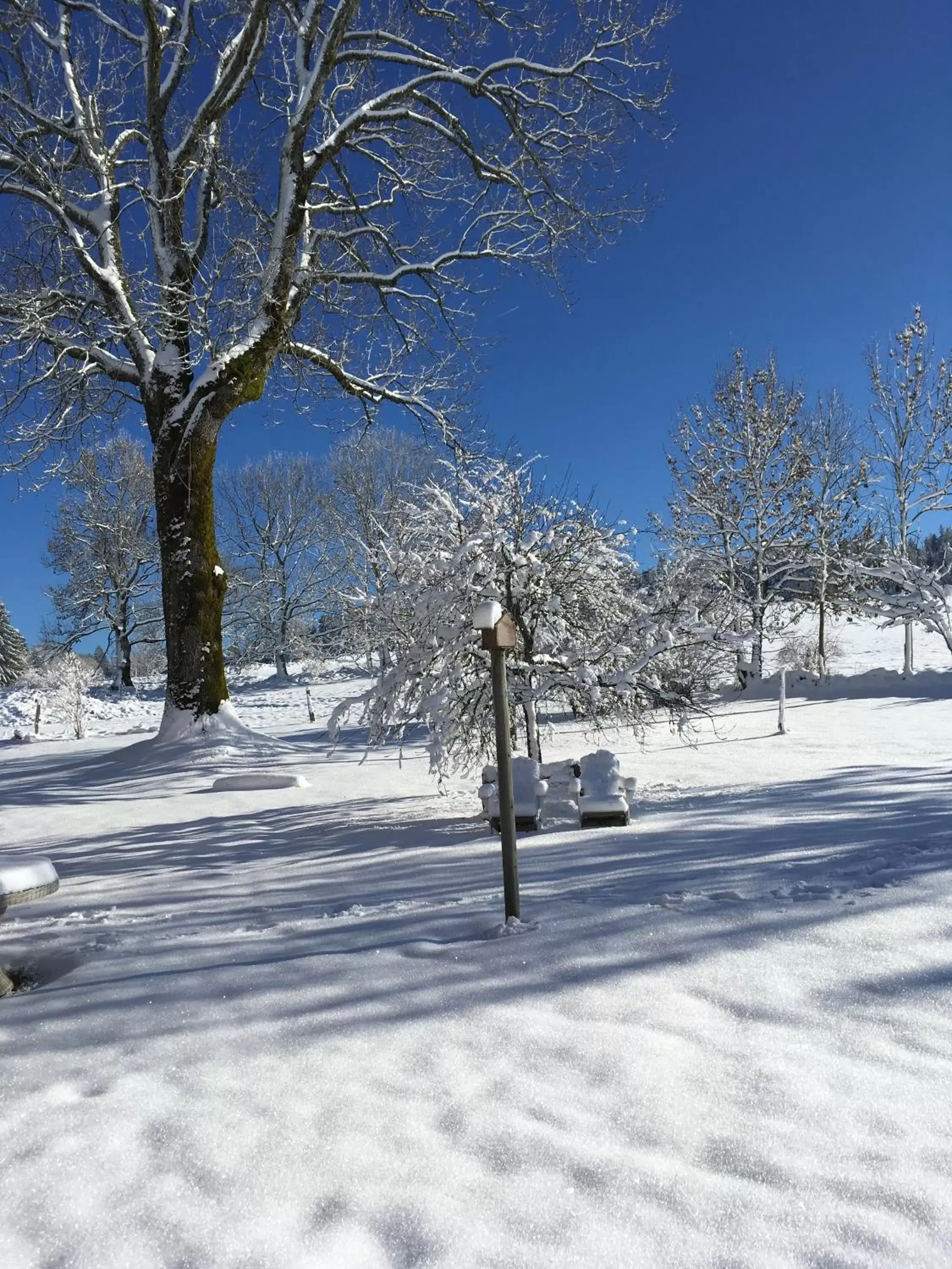 Winter in Le Tillau