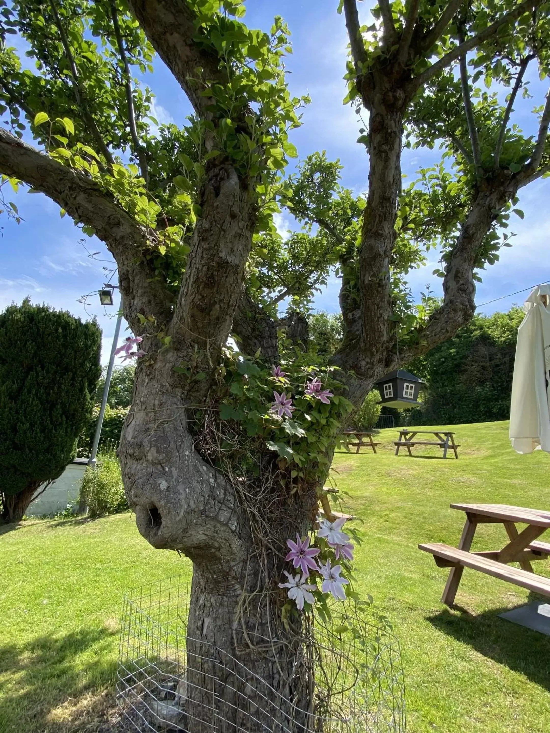 Bedroom, Garden in The Lydden Bell