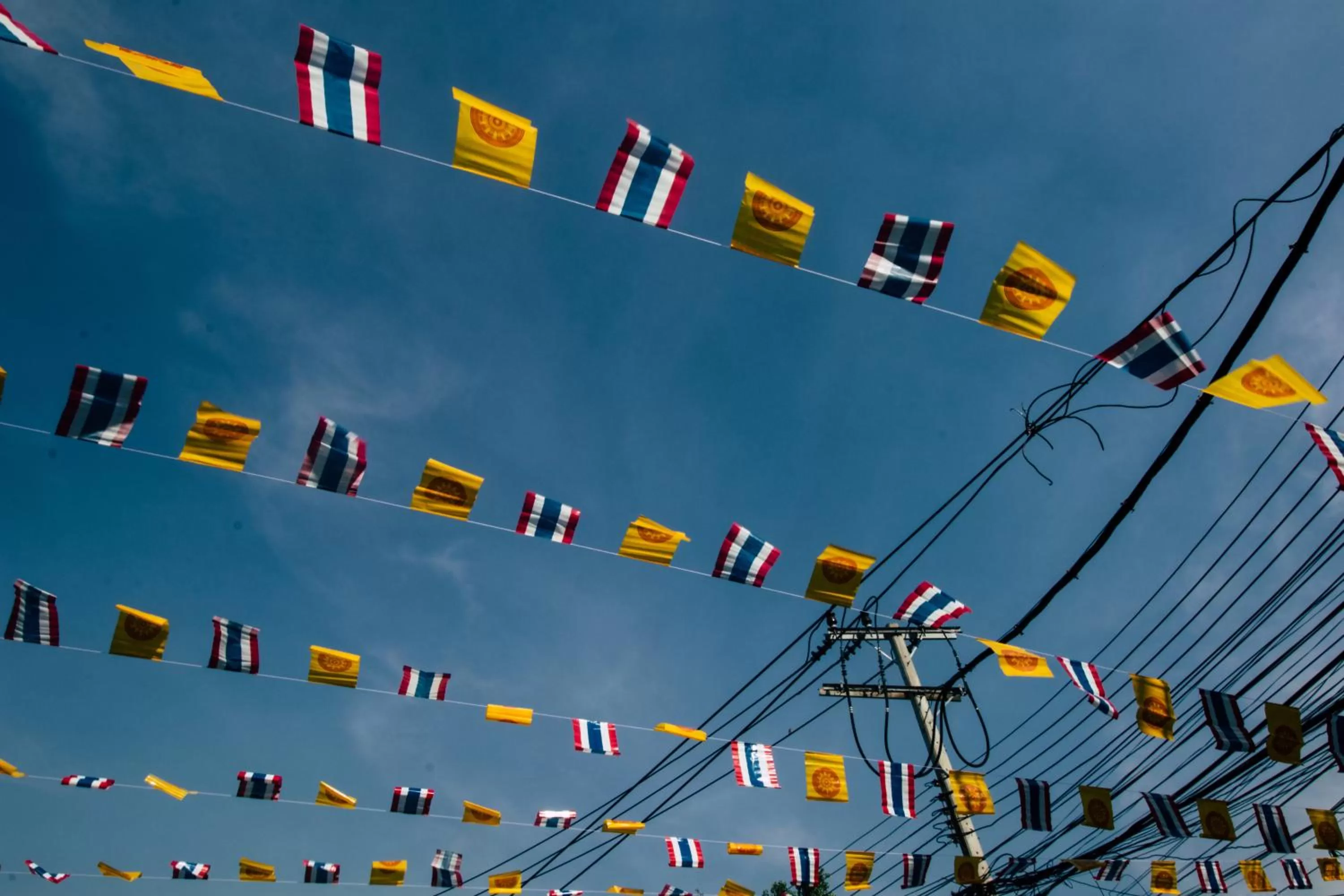 Natural landscape in Theatre Residence