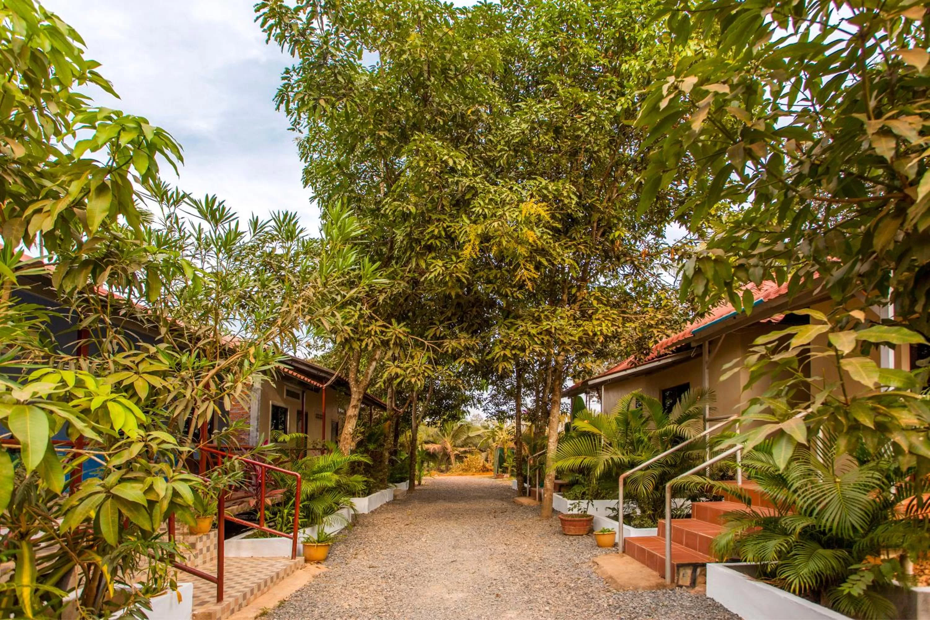 Garden in Green Mango Bungalows