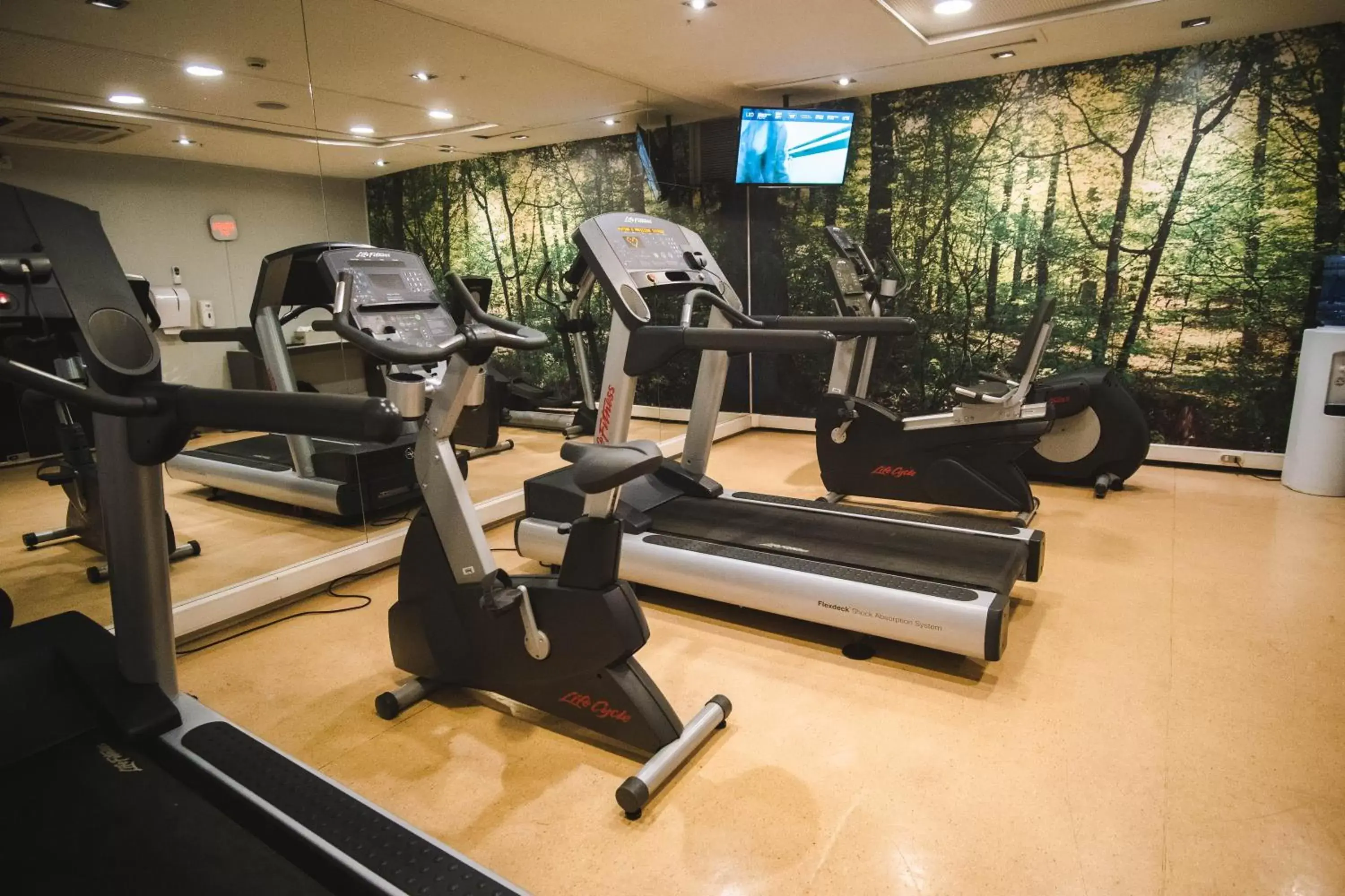 Fitness centre/facilities, Fitness Center/Facilities in Novotel Santiago Vitacura