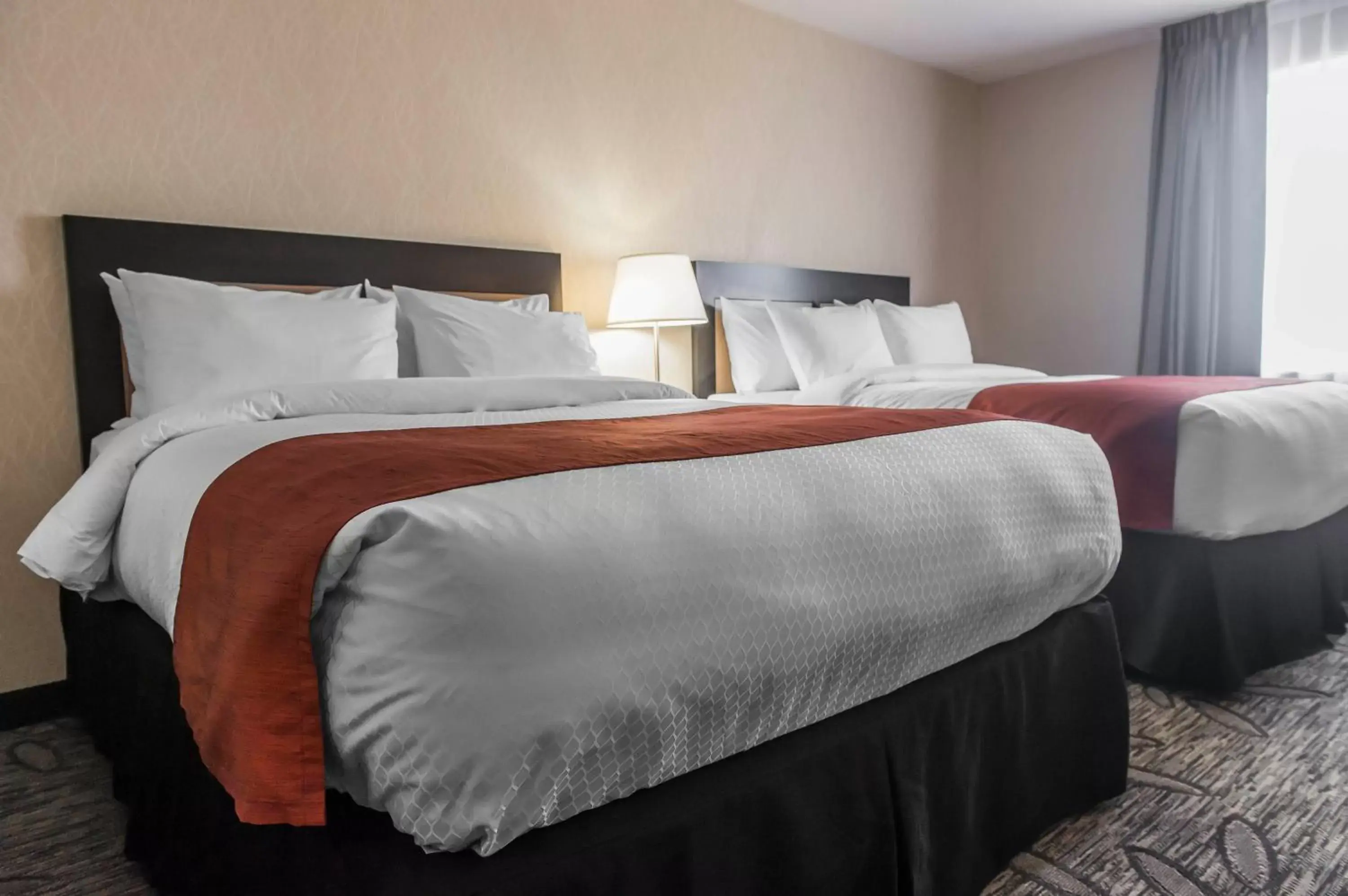 Day, Bed in Quality Inn & Suites Kingston