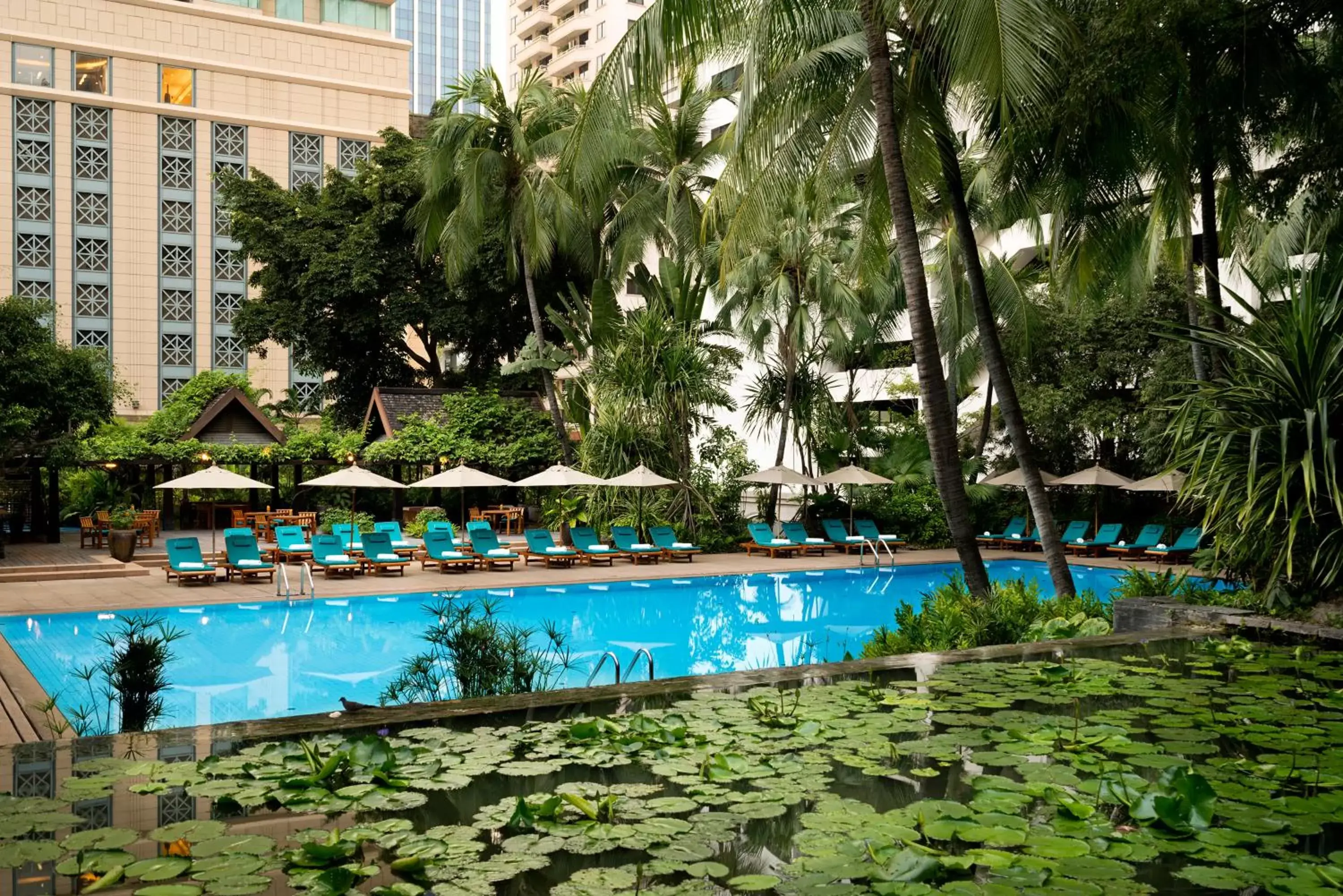 Staff, Swimming Pool in Anantara Siam Bangkok Hotel