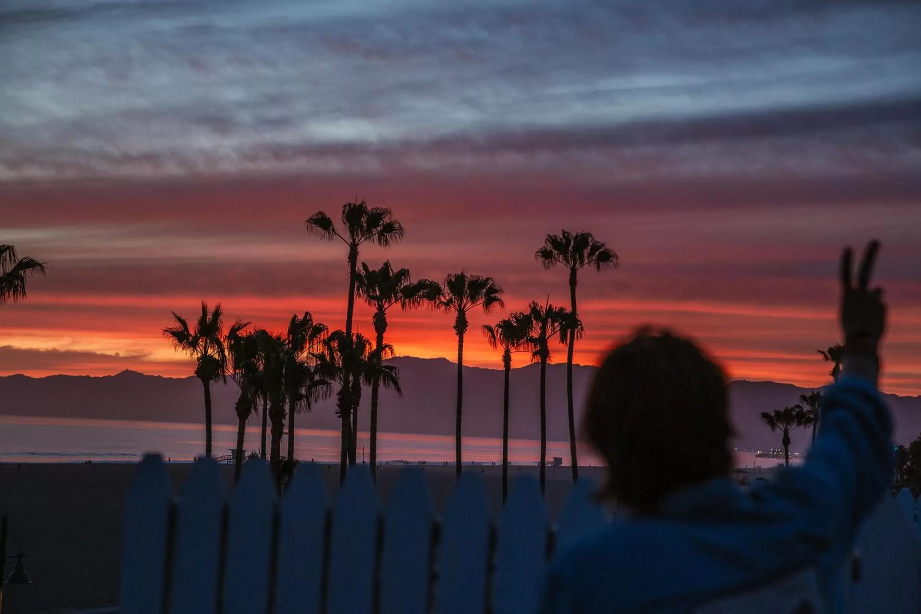 People, Sunrise/Sunset in STAY OPEN Venice Beach