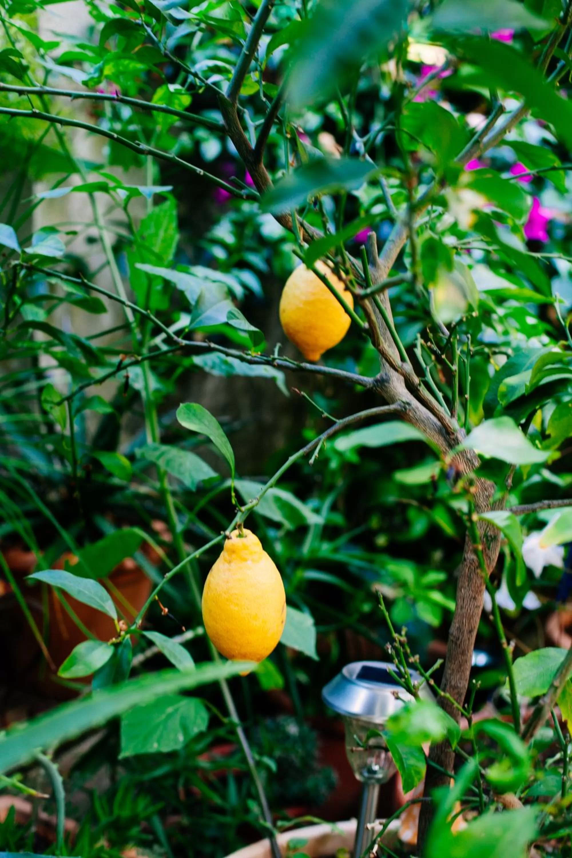 Decorative detail in Logis Hôtel Villa Victorine