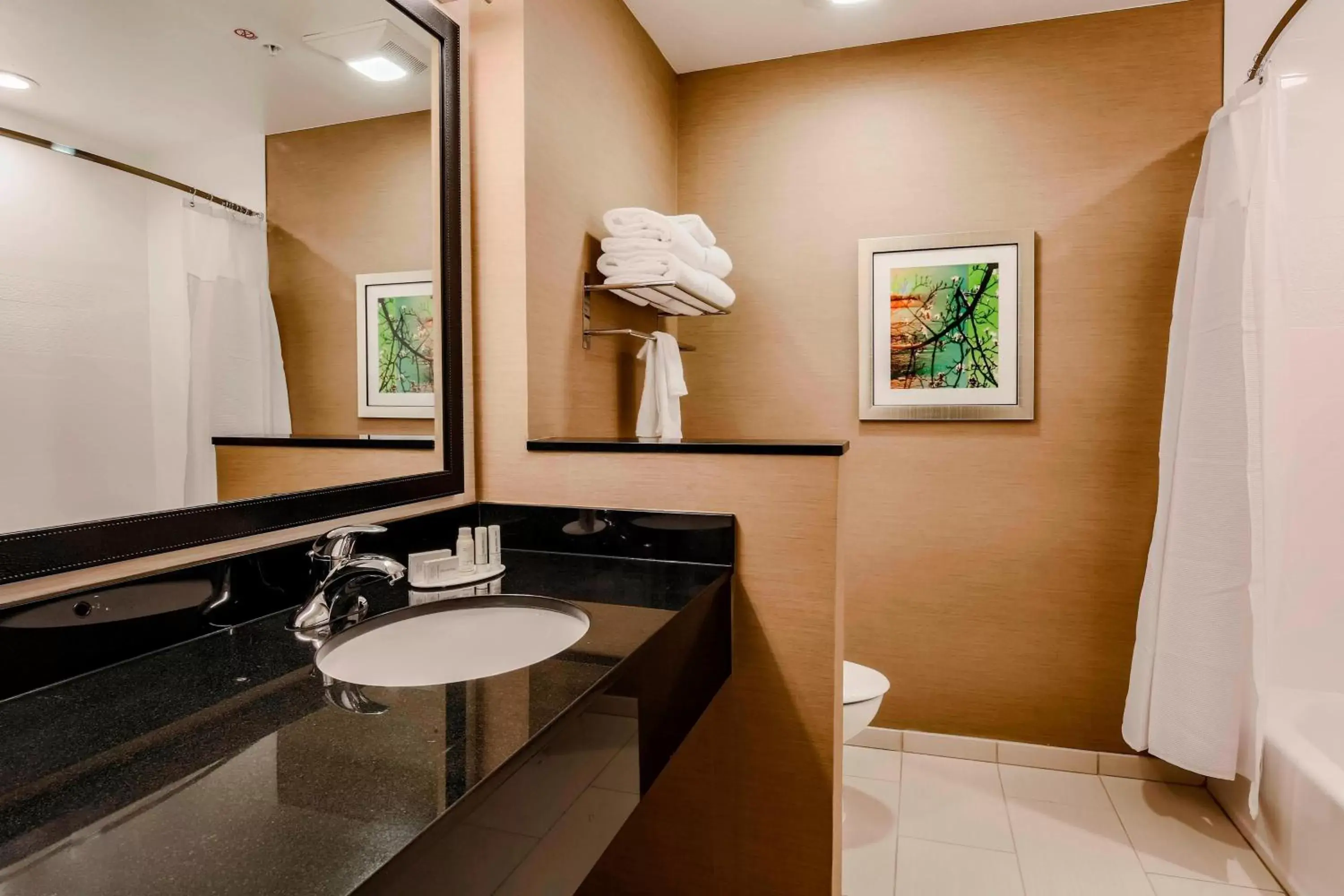Bathroom in Fairfield Inn & Suites by Marriott Snyder