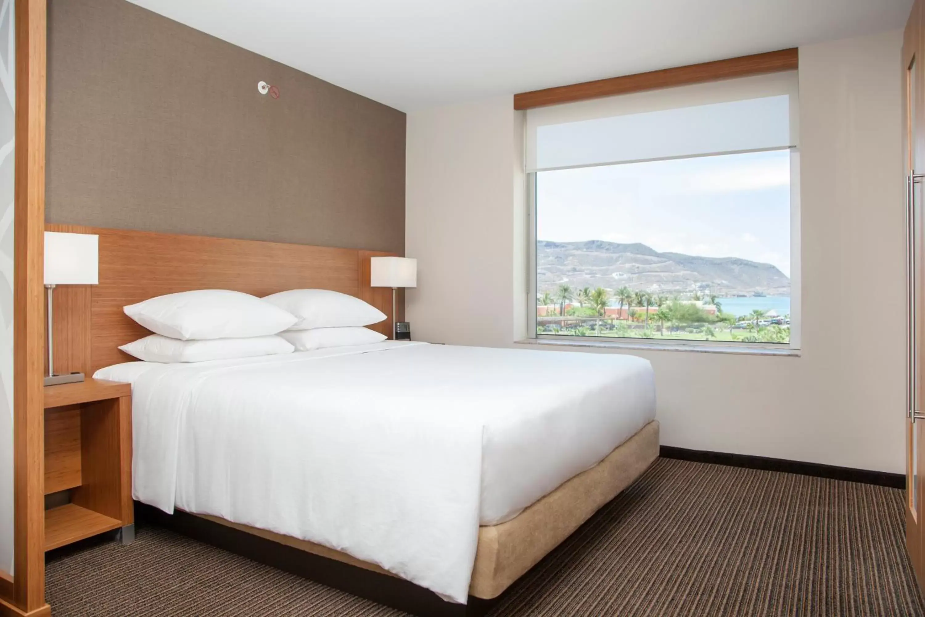 King Room with Sofa Bed and Ocean View in Hyatt Place La Paz
