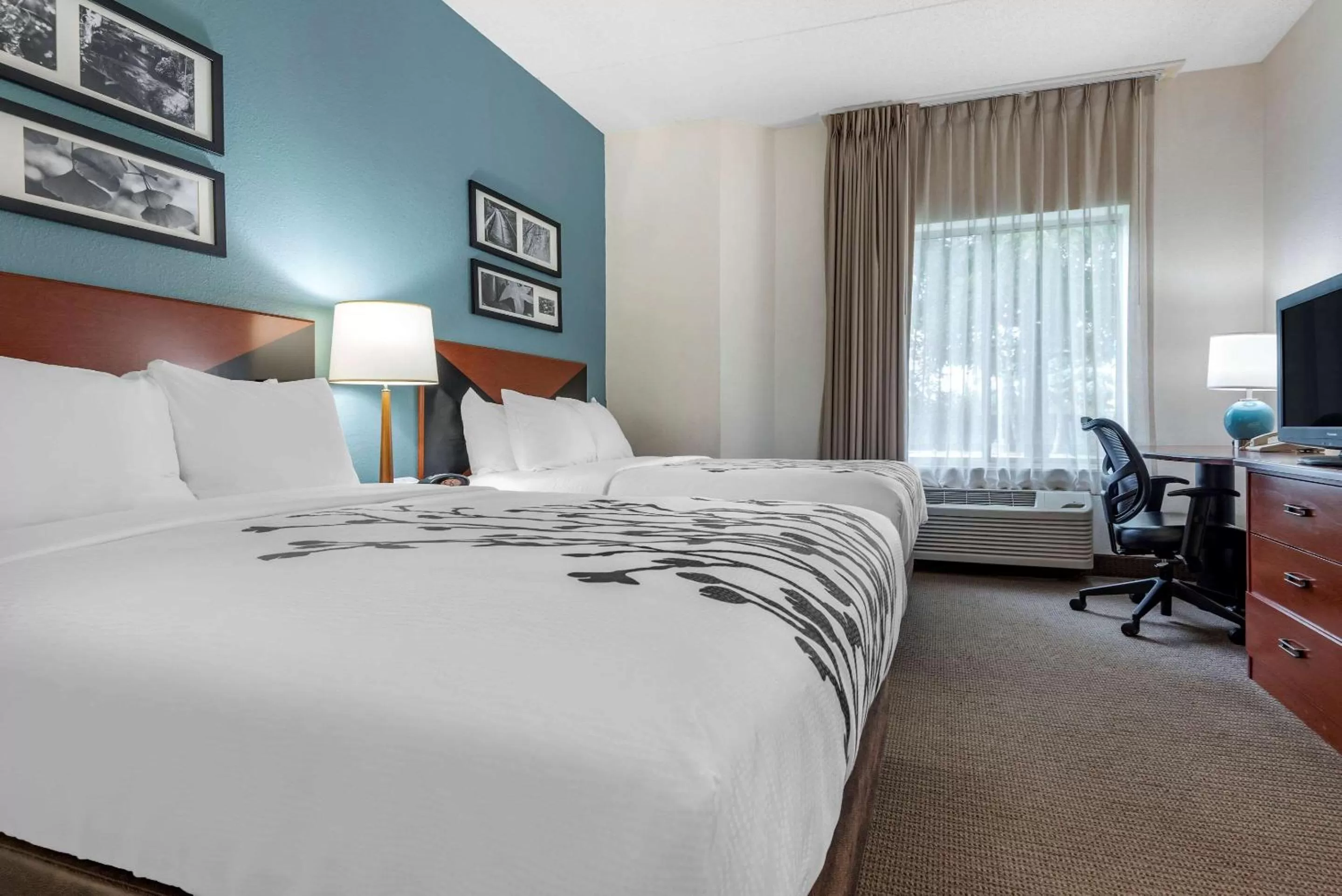 Photo of the whole room, Bed in Sleep Inn Amherst - Buffalo North near University