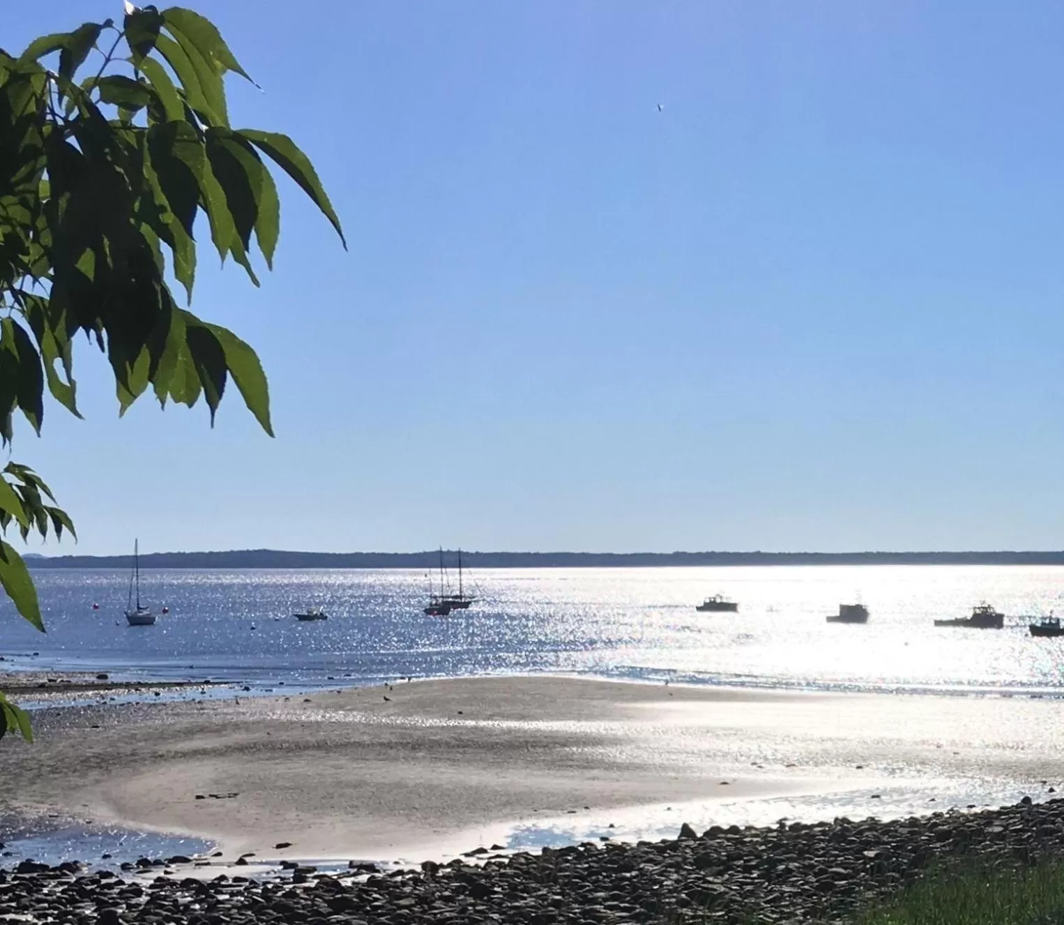 Beach in Spouter Inn Bed & Breakfast