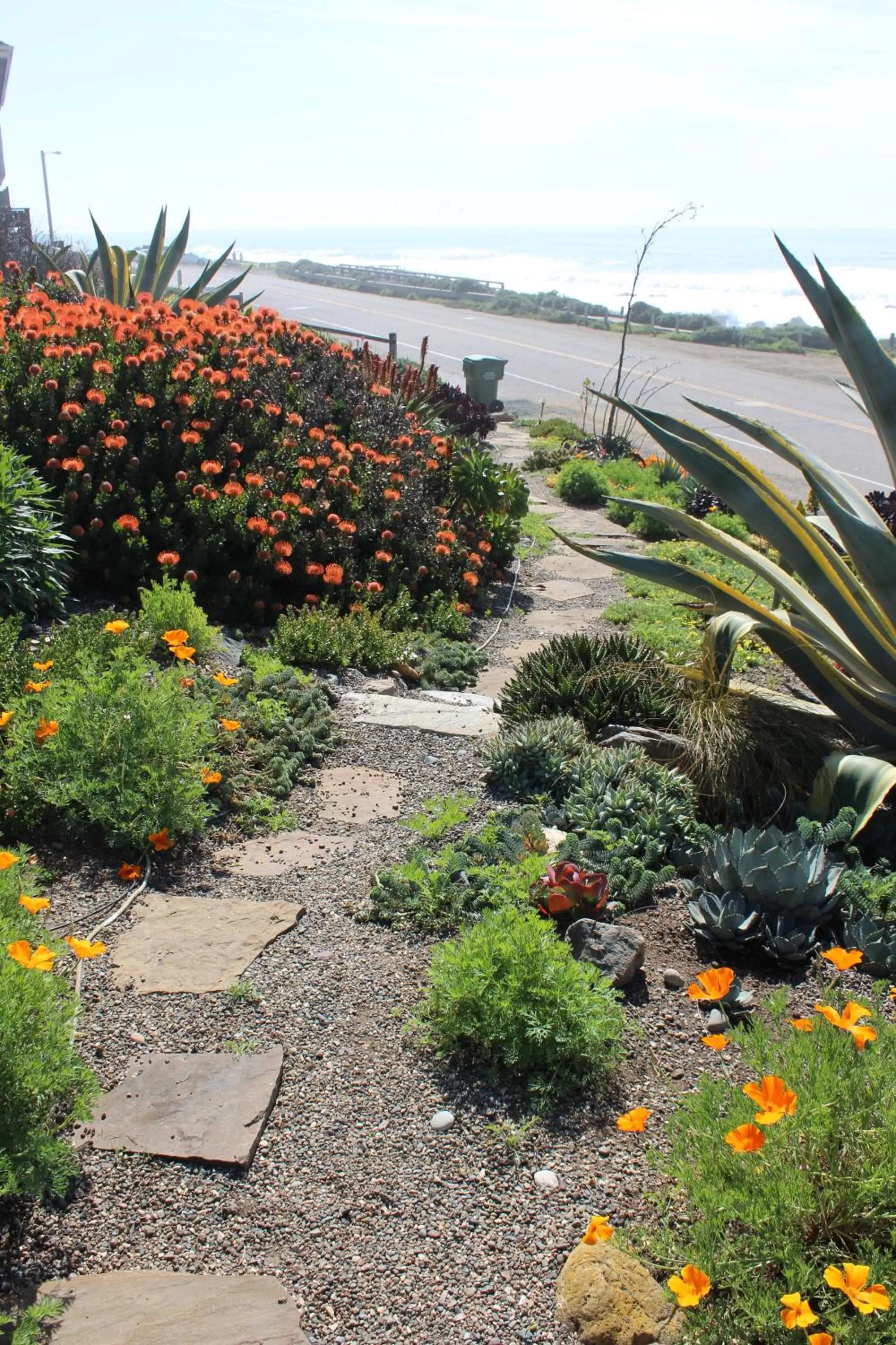 Garden view in Cambria Shores Inn