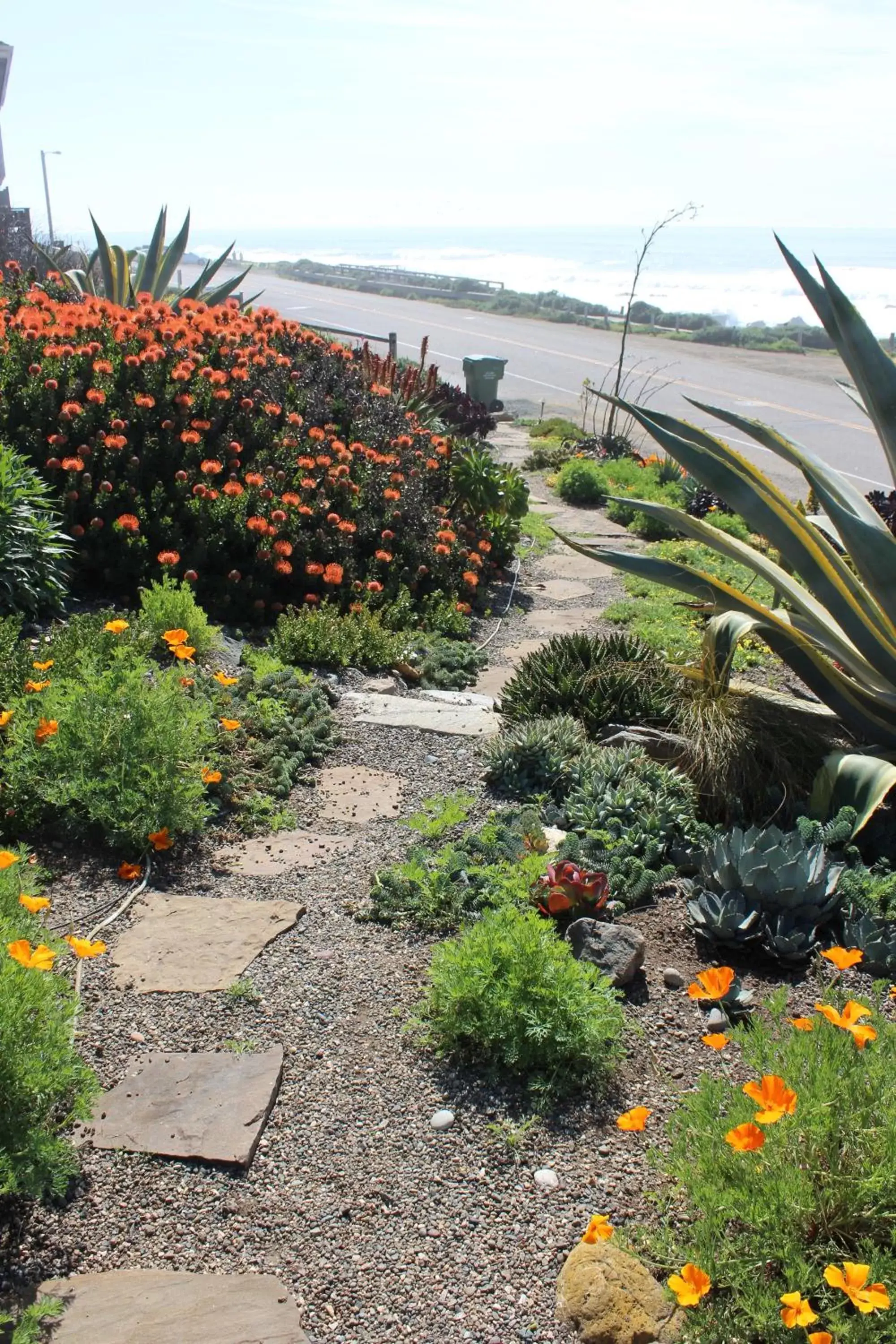 Garden view in Cambria Shores Inn