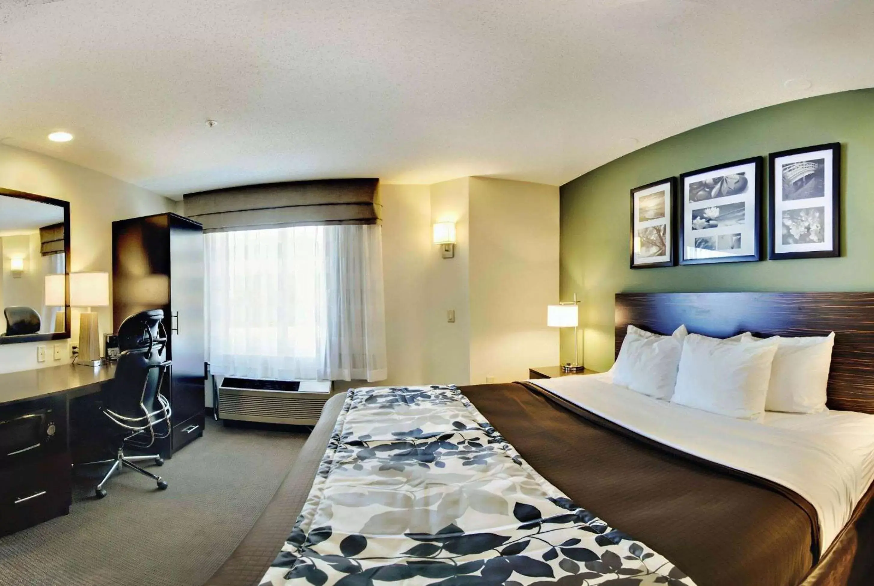 Photo of the whole room, Bed in Wingate by Wyndham Bel Air I-95 Exit 77A - APG Area