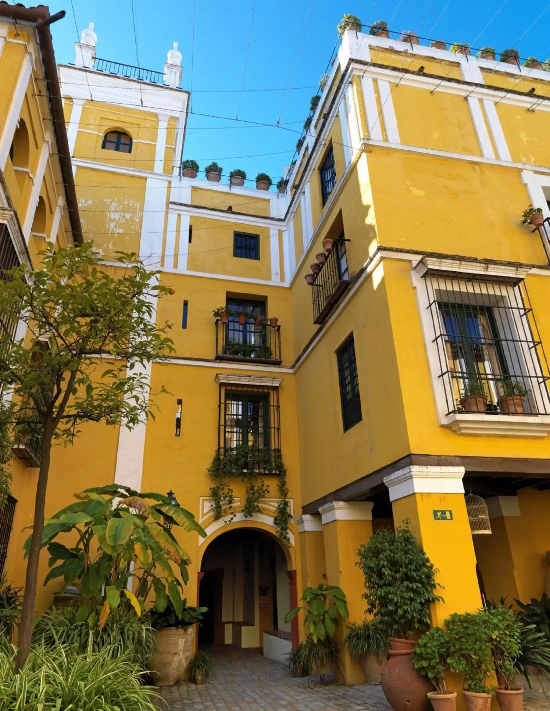 Garden, Property Building in Hotel Las Casas de la Judería