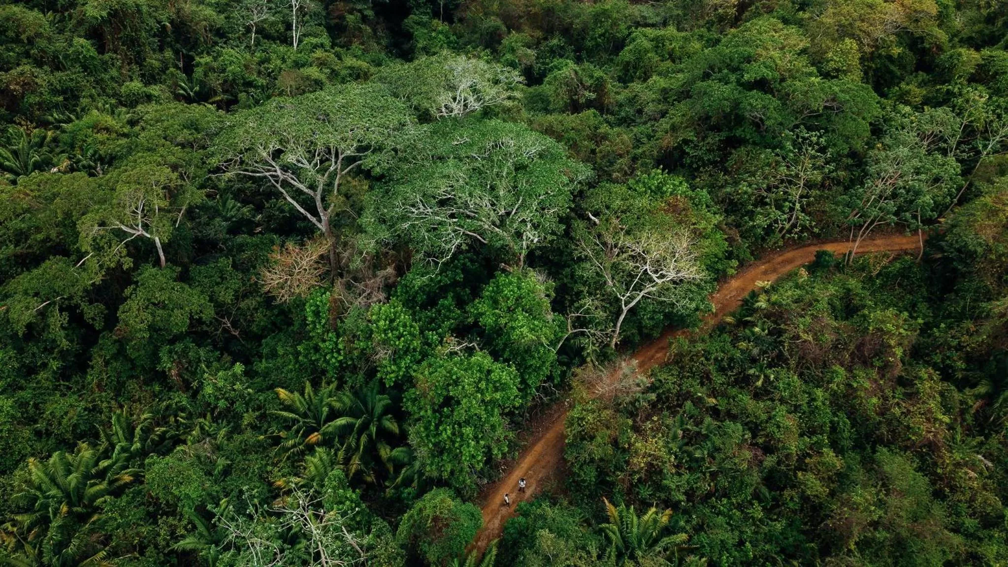 Natural landscape in Saboga Lodge