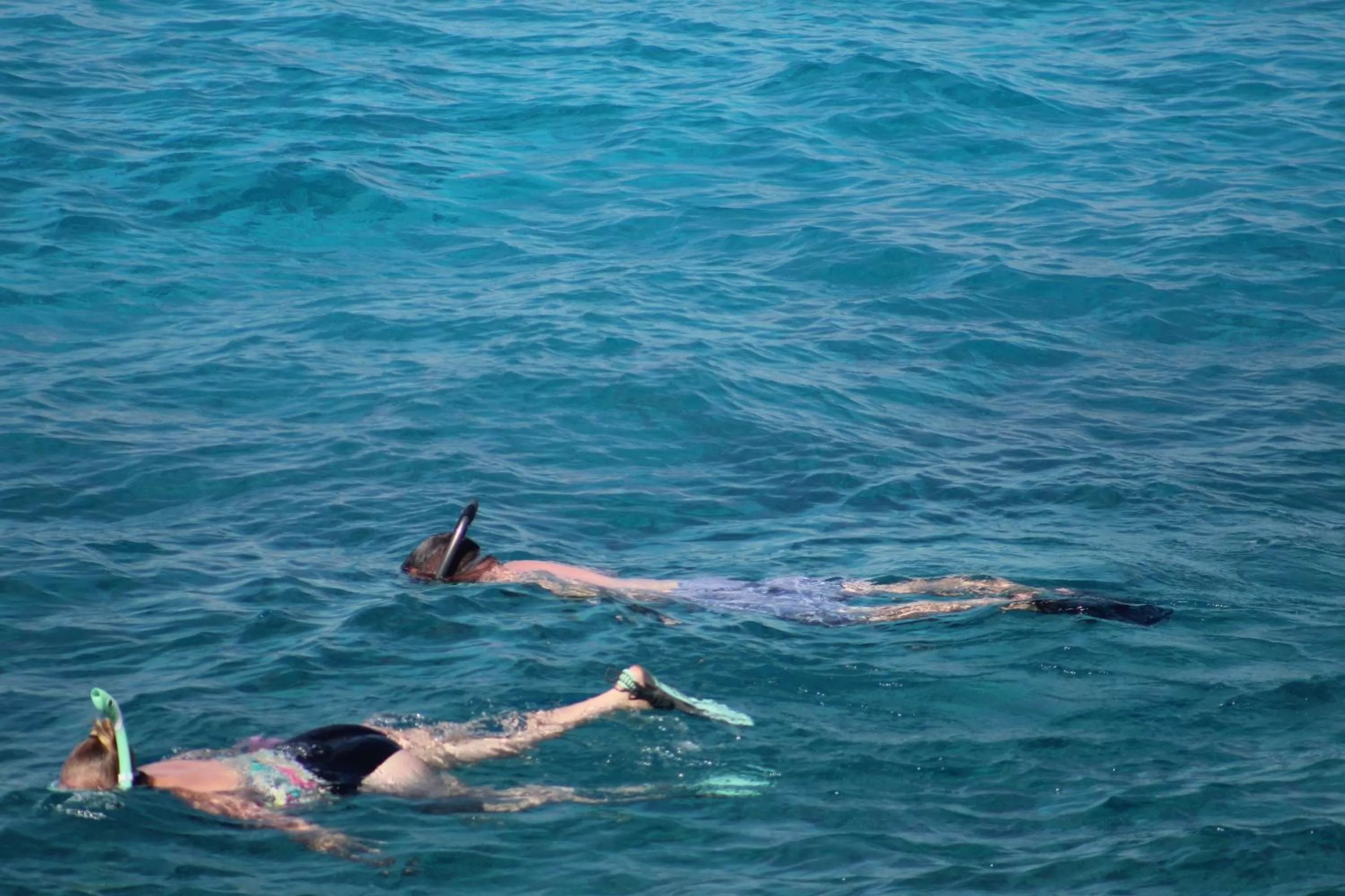 Diving in Coral Princess Hotel & Dive Resort