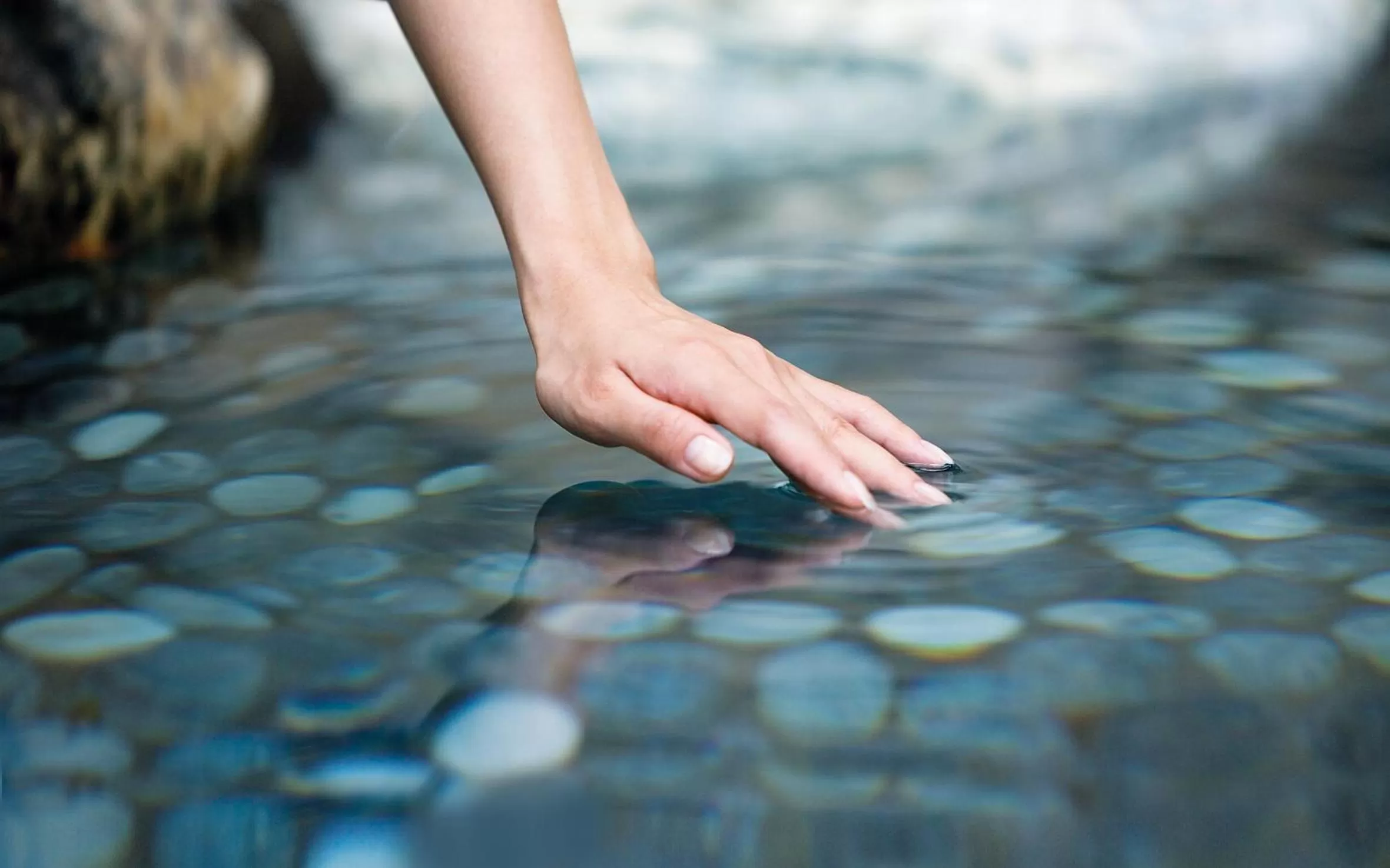 Garden in Bio Thermalhotel Falkenhof