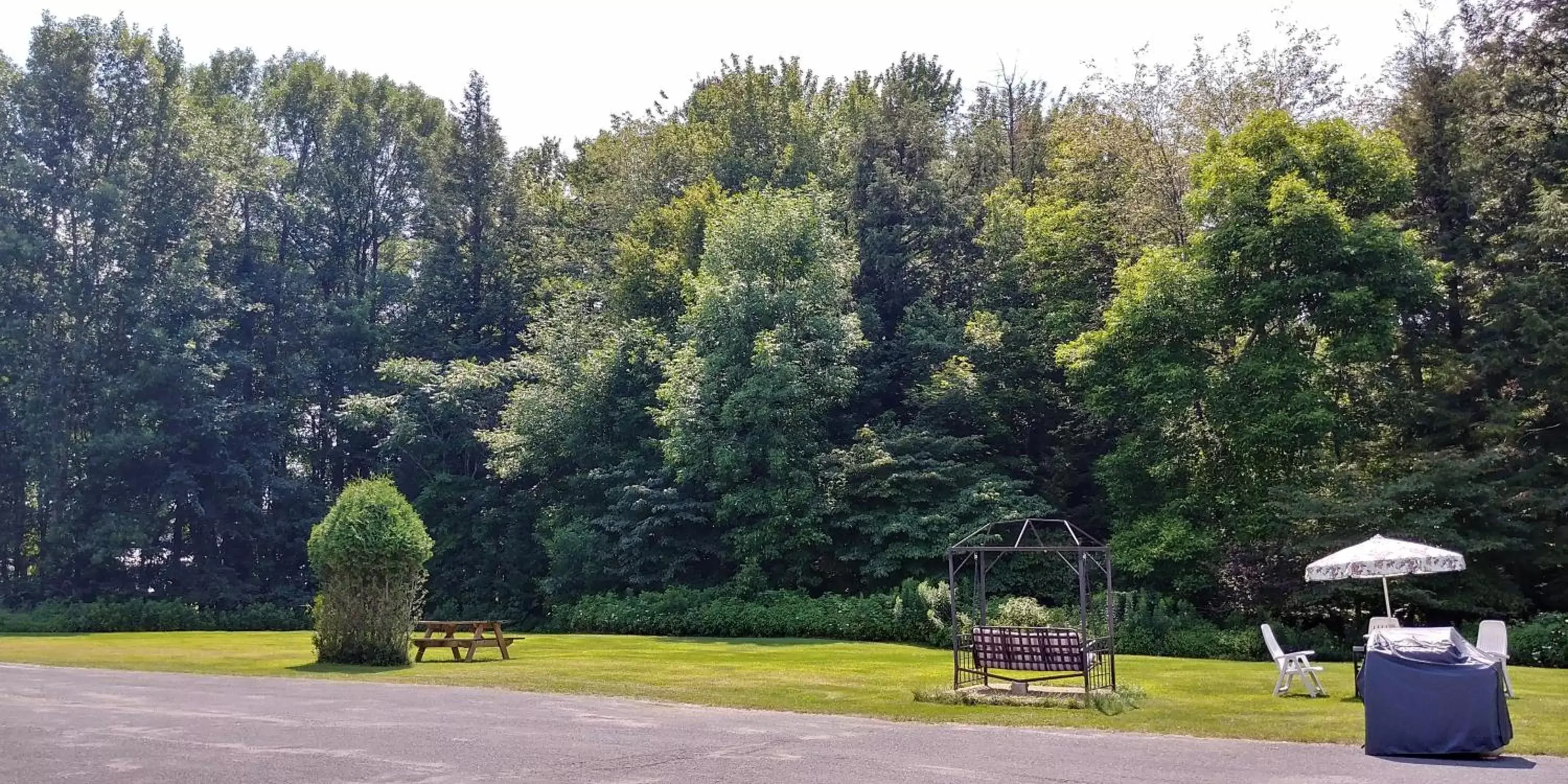 Garden in Martin's Inn