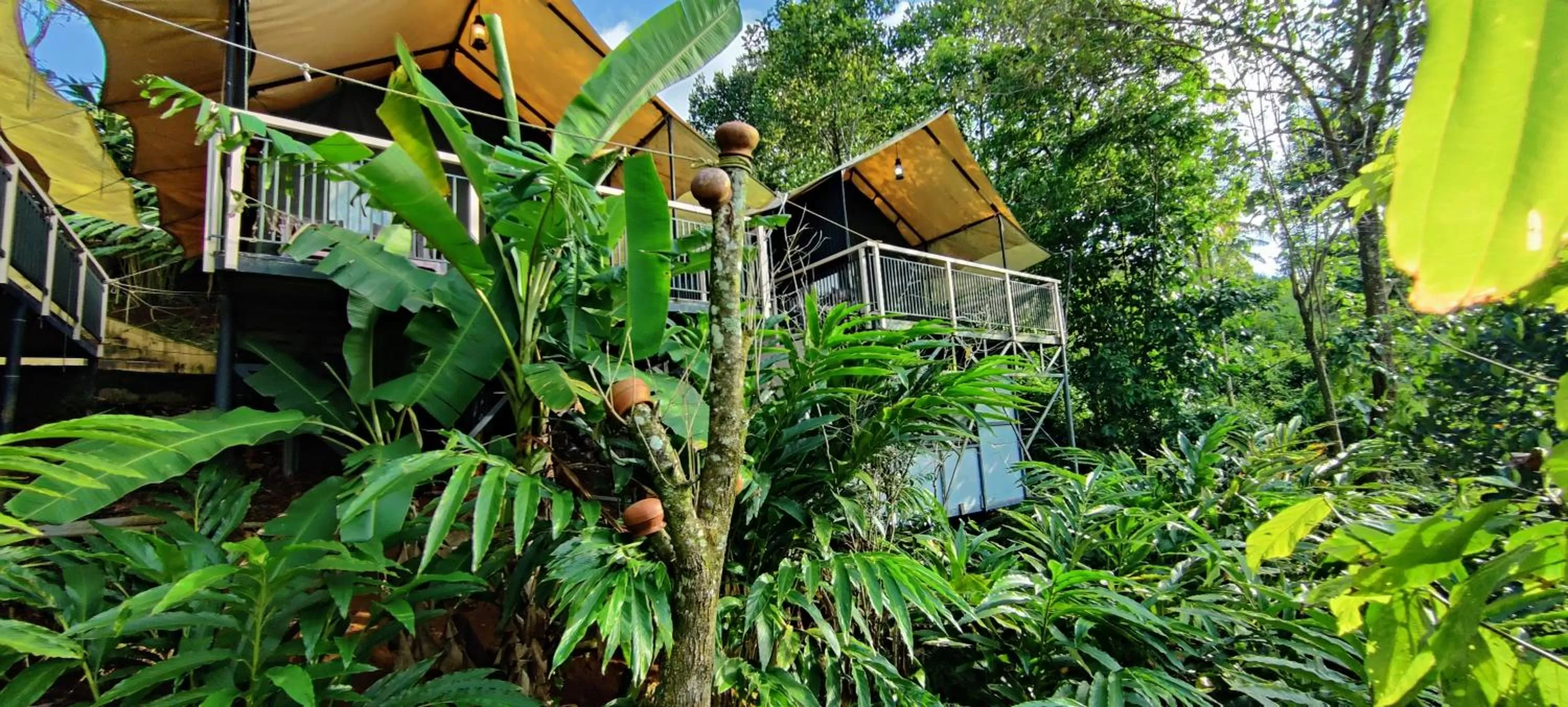 Property Building in Chalona Jungle Vibe
