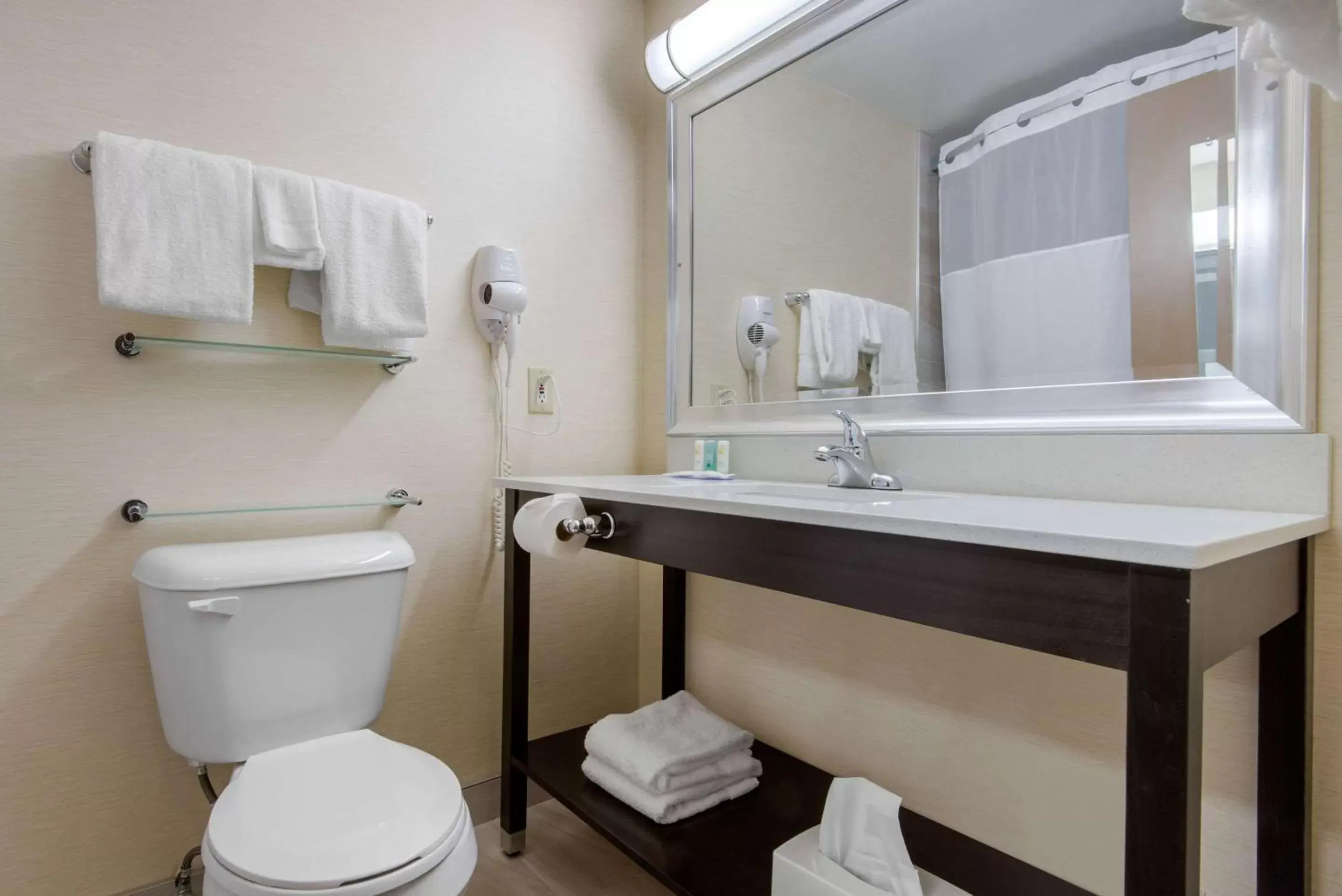 Bathroom in Quality Inn & Conference Centre Downtown Sudbury