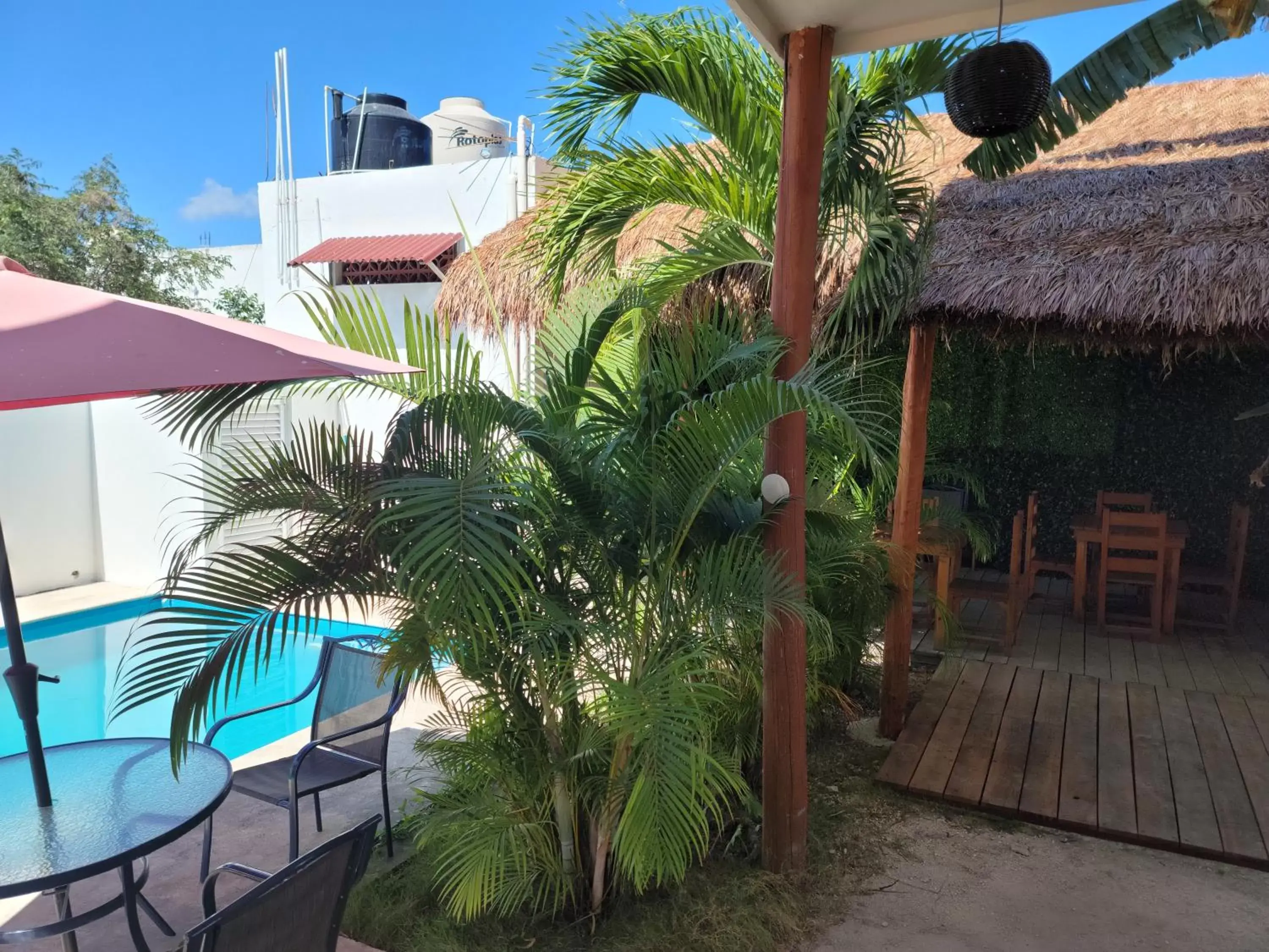 Patio, Pool View in hotel stella maris tulum