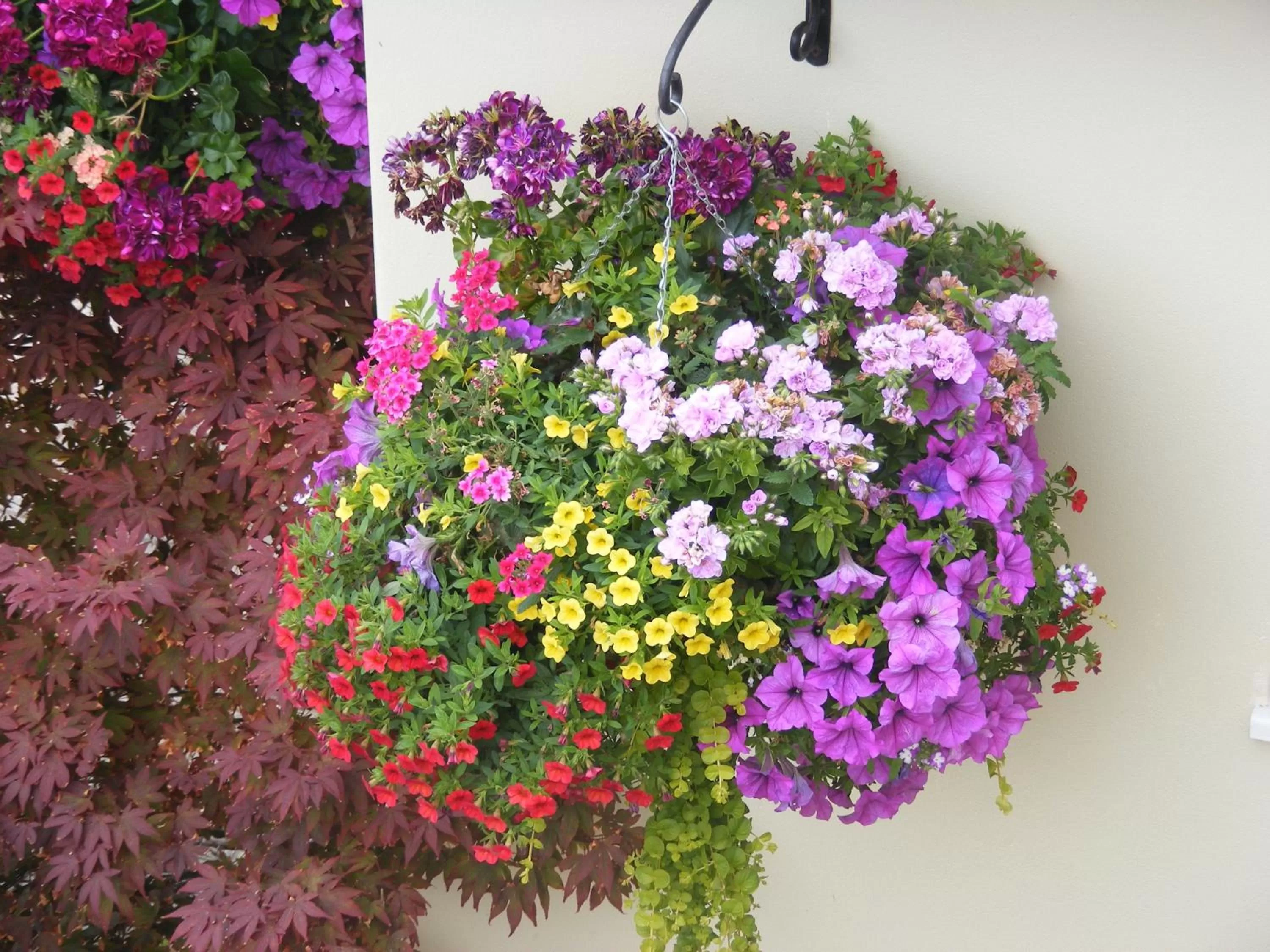 Day in The Old Lodge