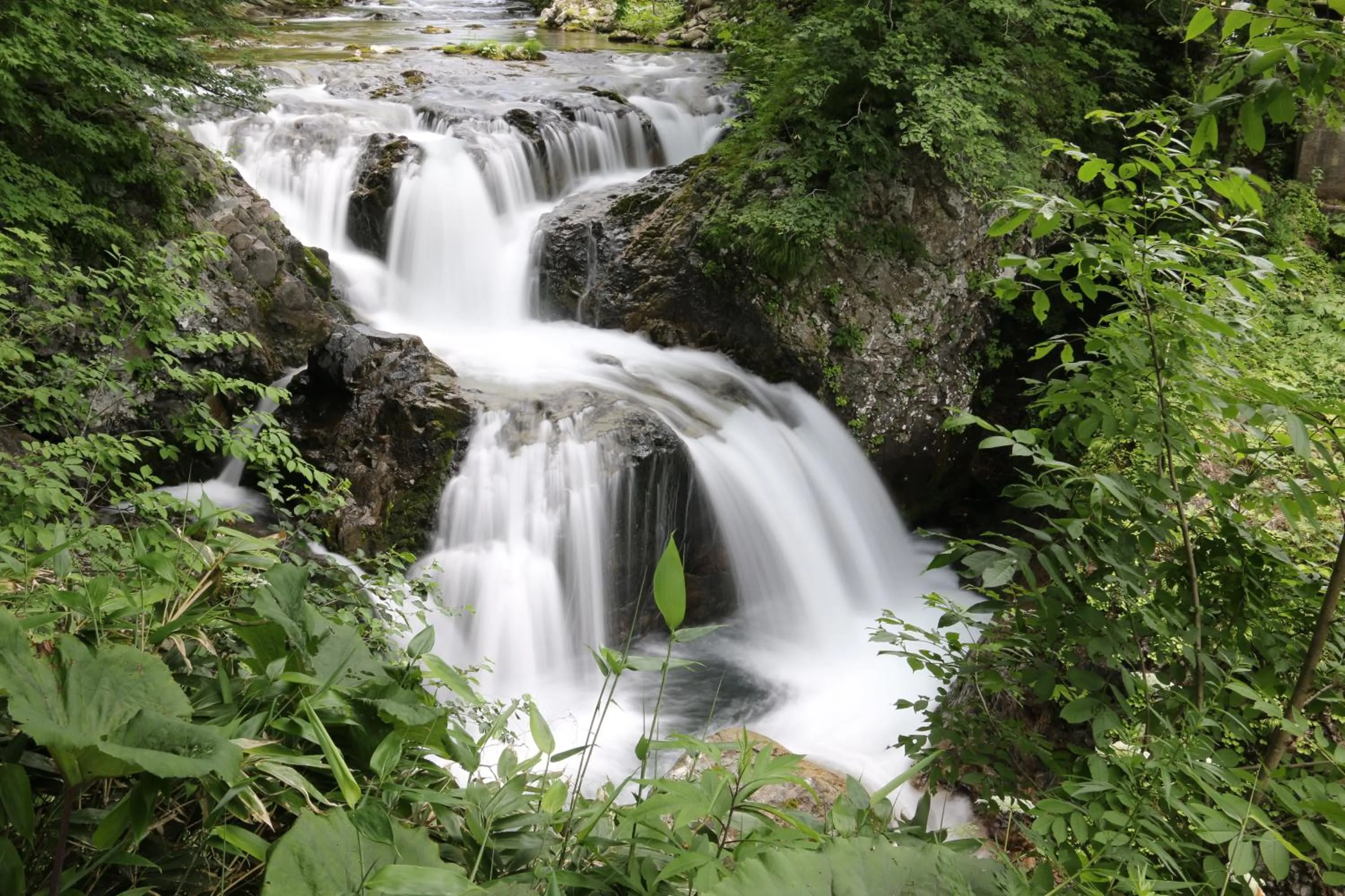 Nearby landmark in Kitayuzawa Mori no soraniwa