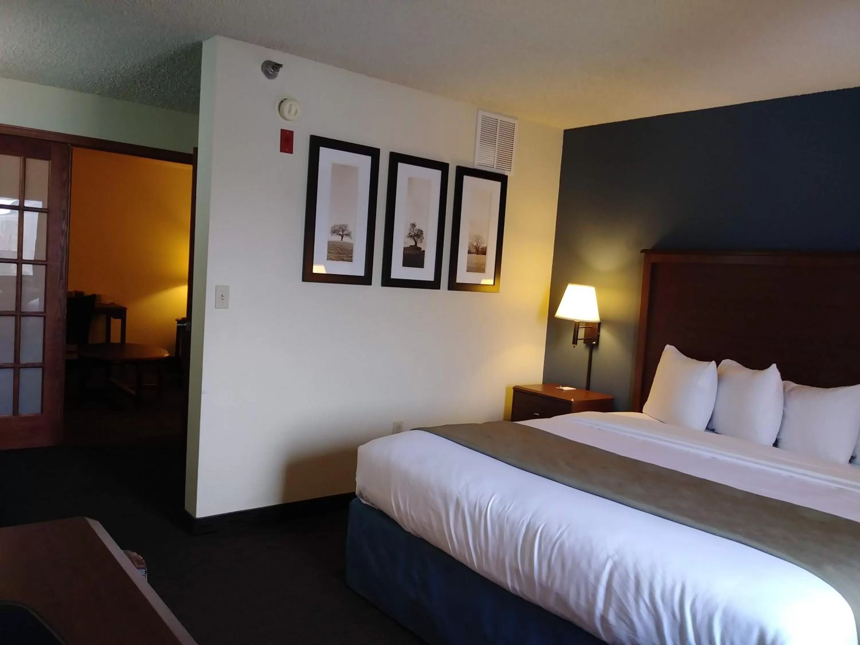 Bed in AmericInn by Wyndham Windsor Ft. Collins