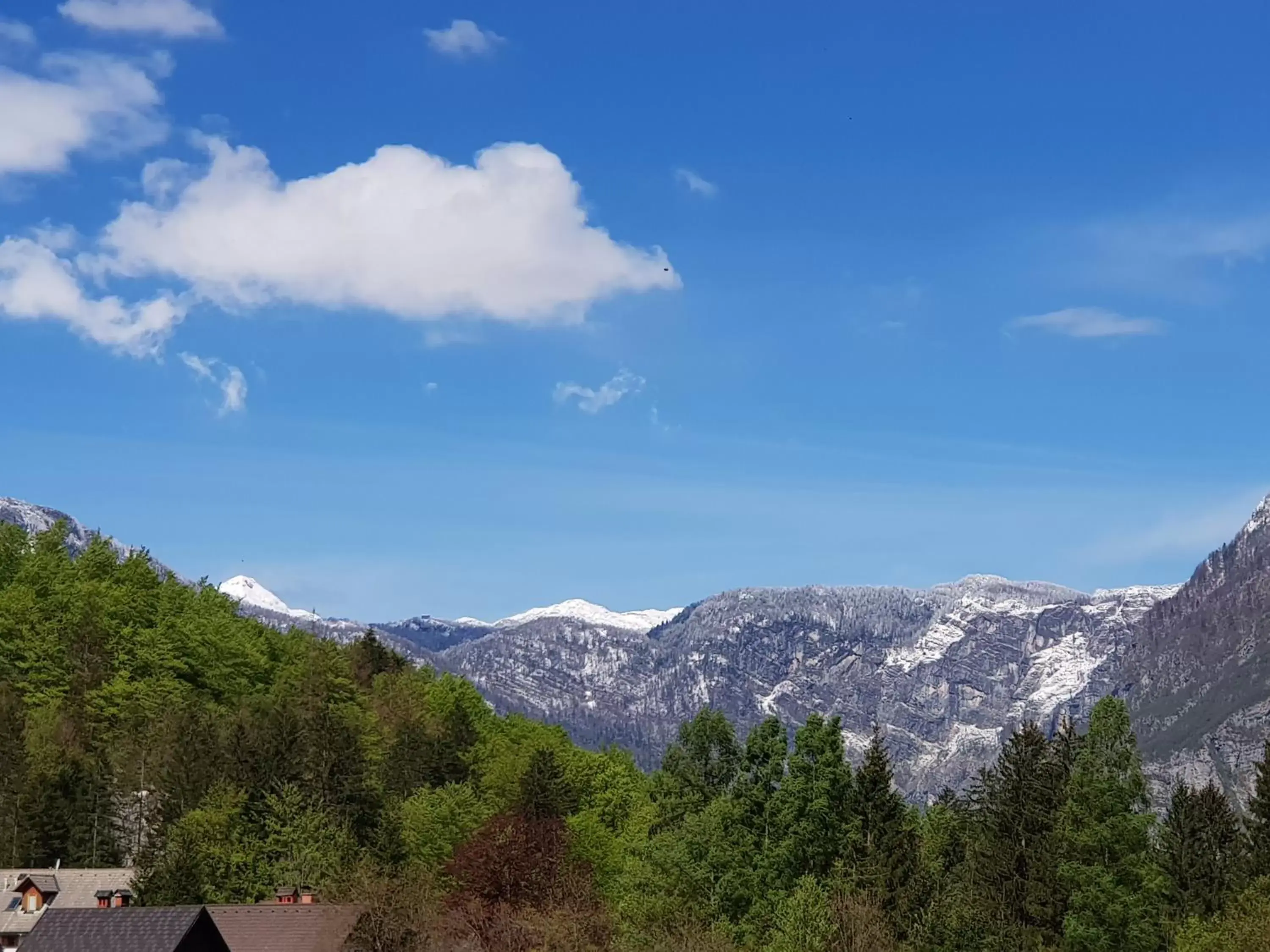 View (from property/room), Mountain View in Hotel Gasperin Bohinj