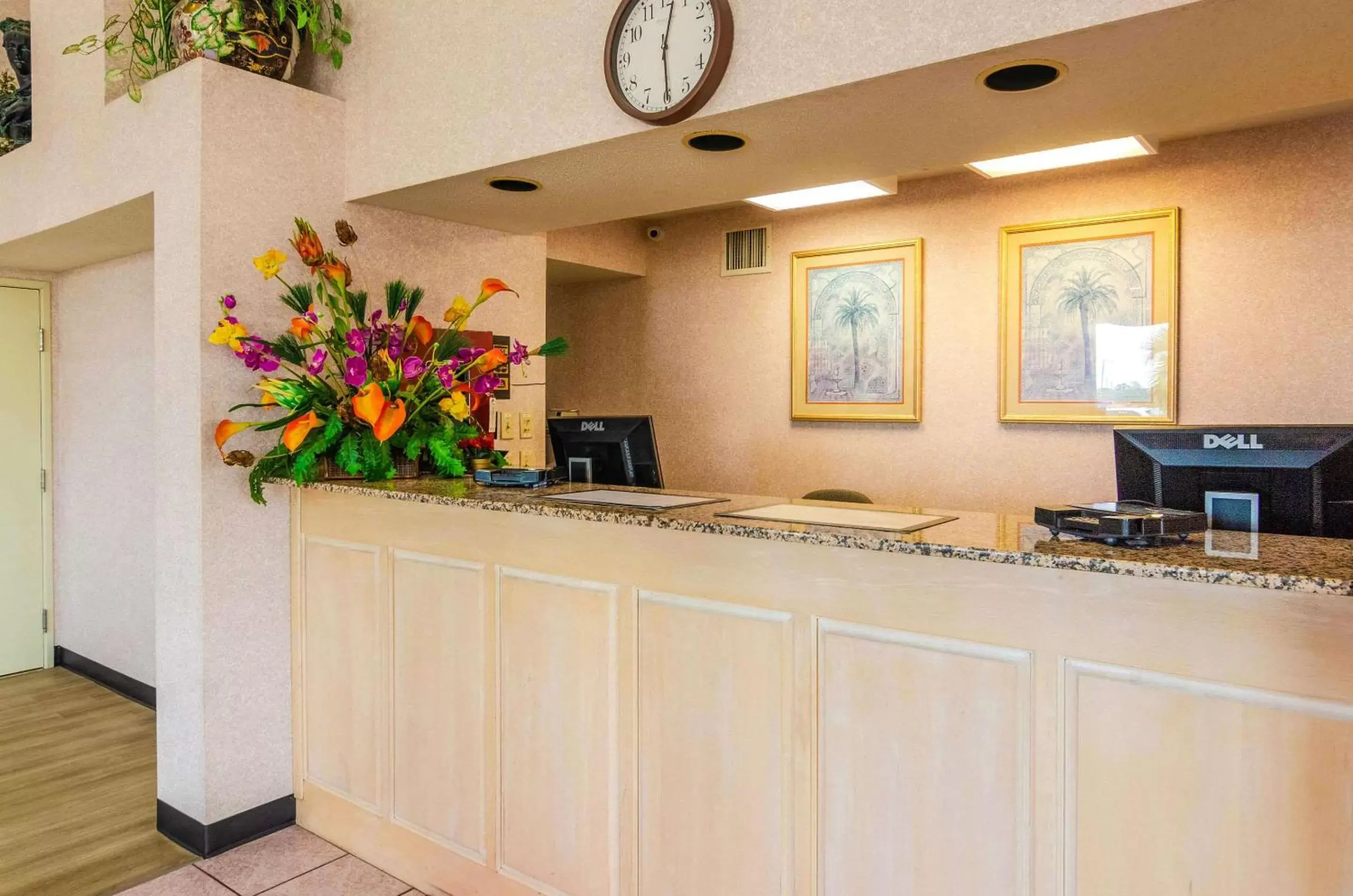 Lobby or reception, Lobby/Reception in Econo Lodge Inn & Suites Gulfport