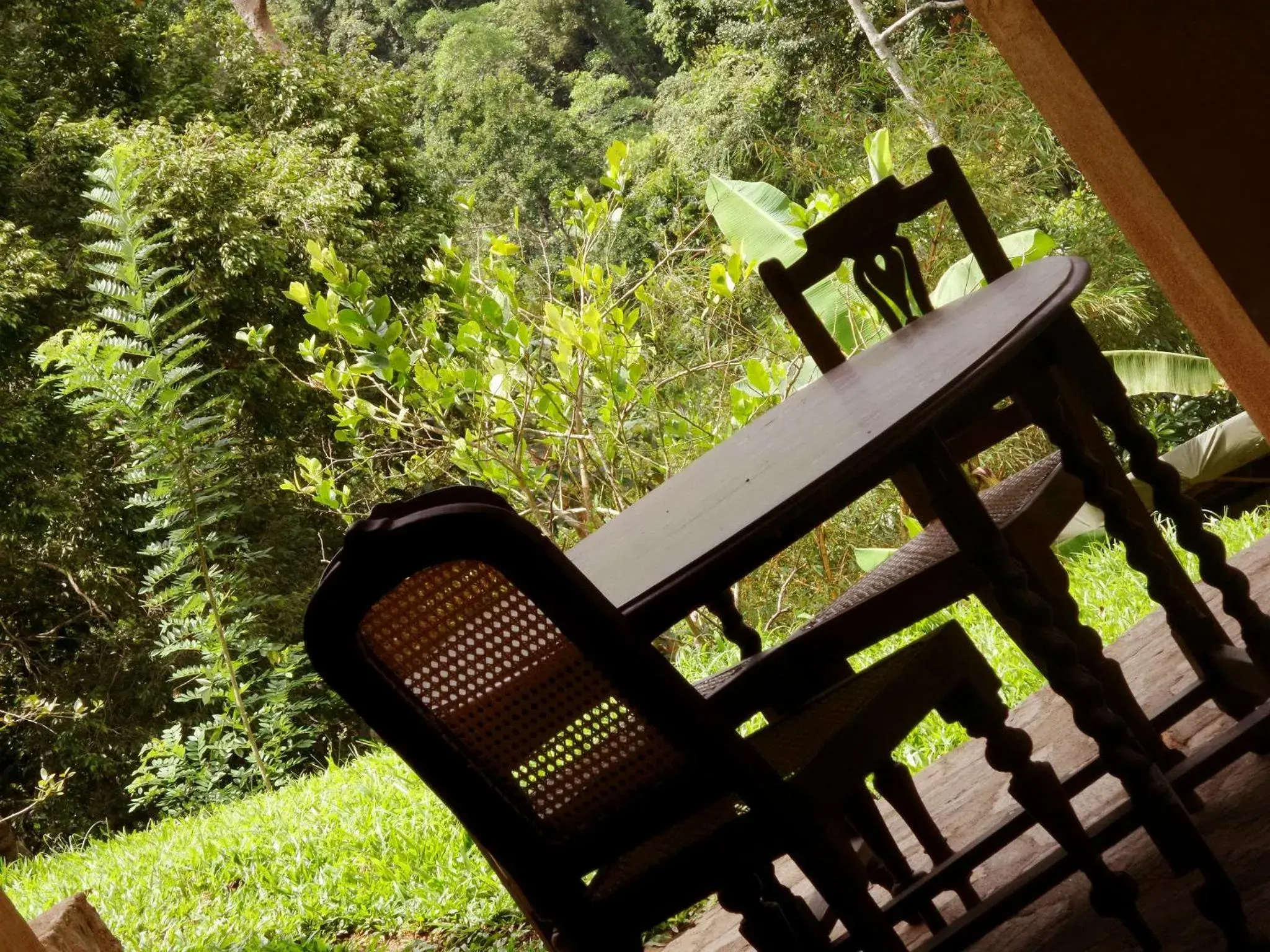 Garden in The Kandy Samadhicentre