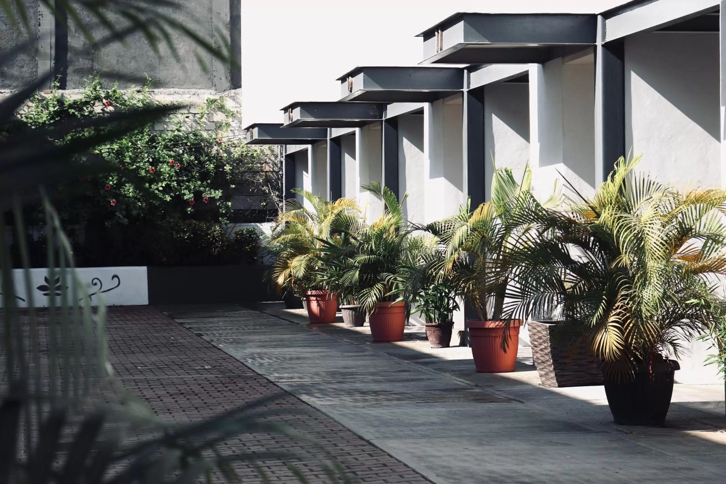 Property building in Hotel Samanu