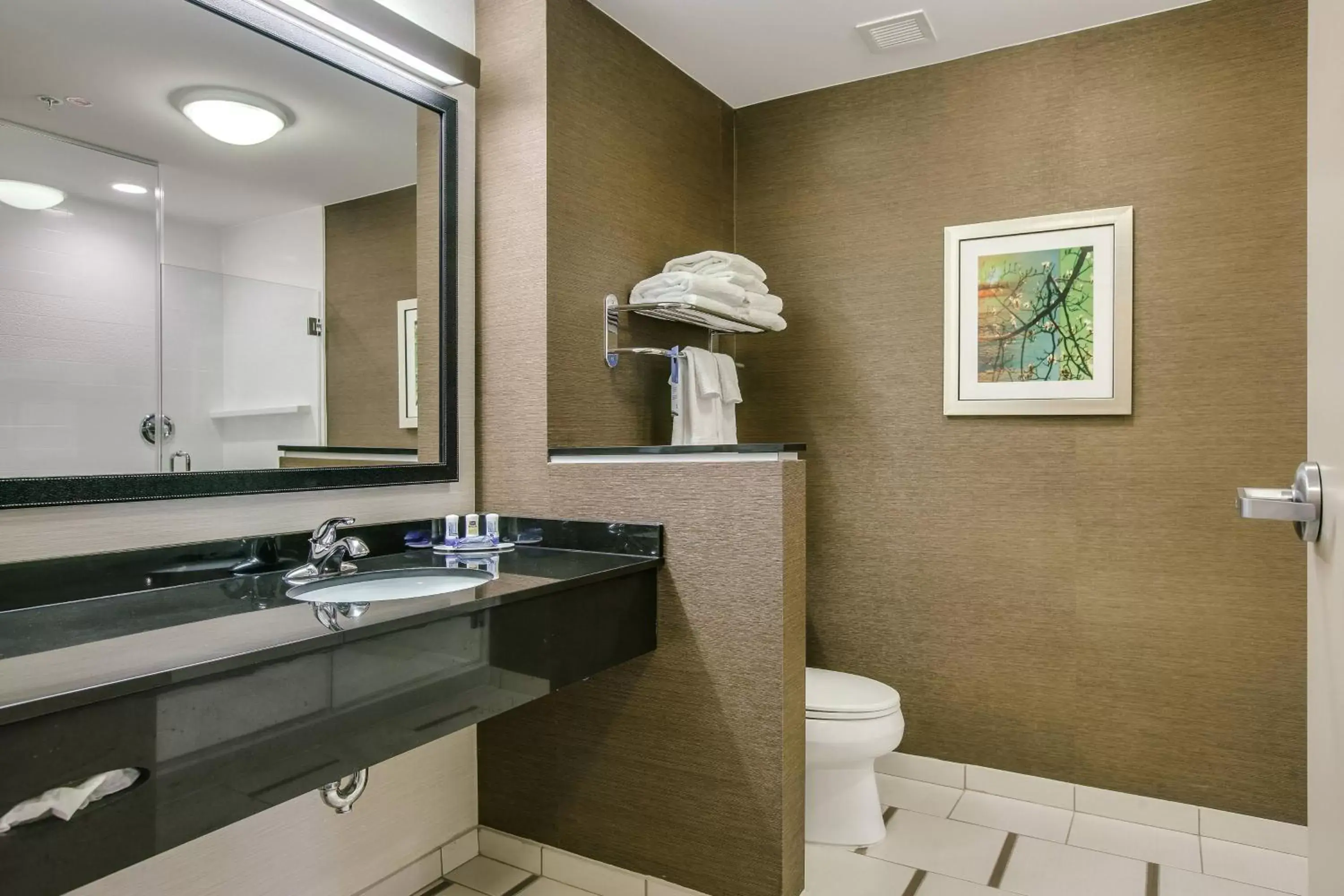Bathroom in Fairfield Inn & Suites by Marriott Columbia