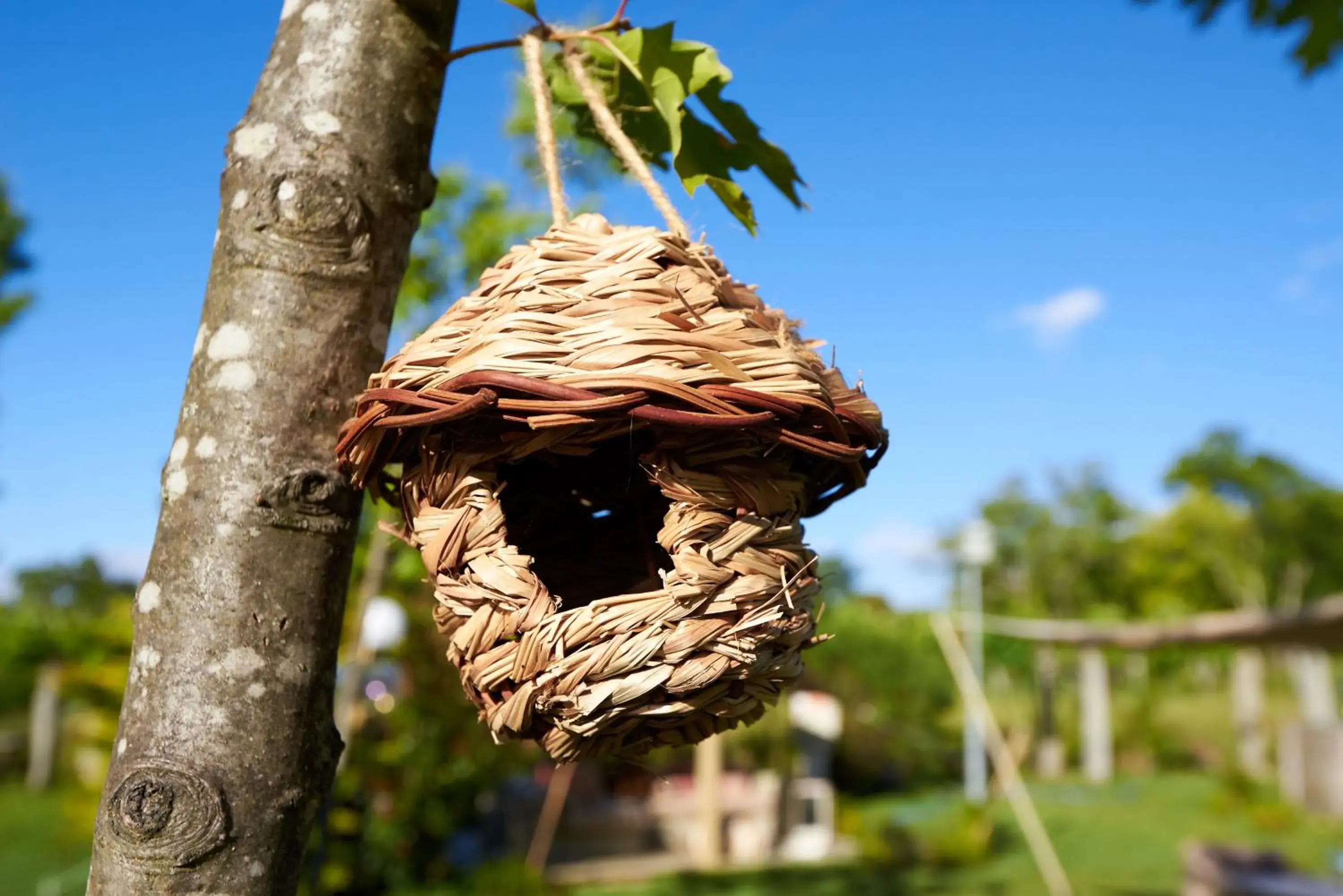 Garden, Other Animals in Carmo's Boutique Hotel - Small Luxury Hotels of the World