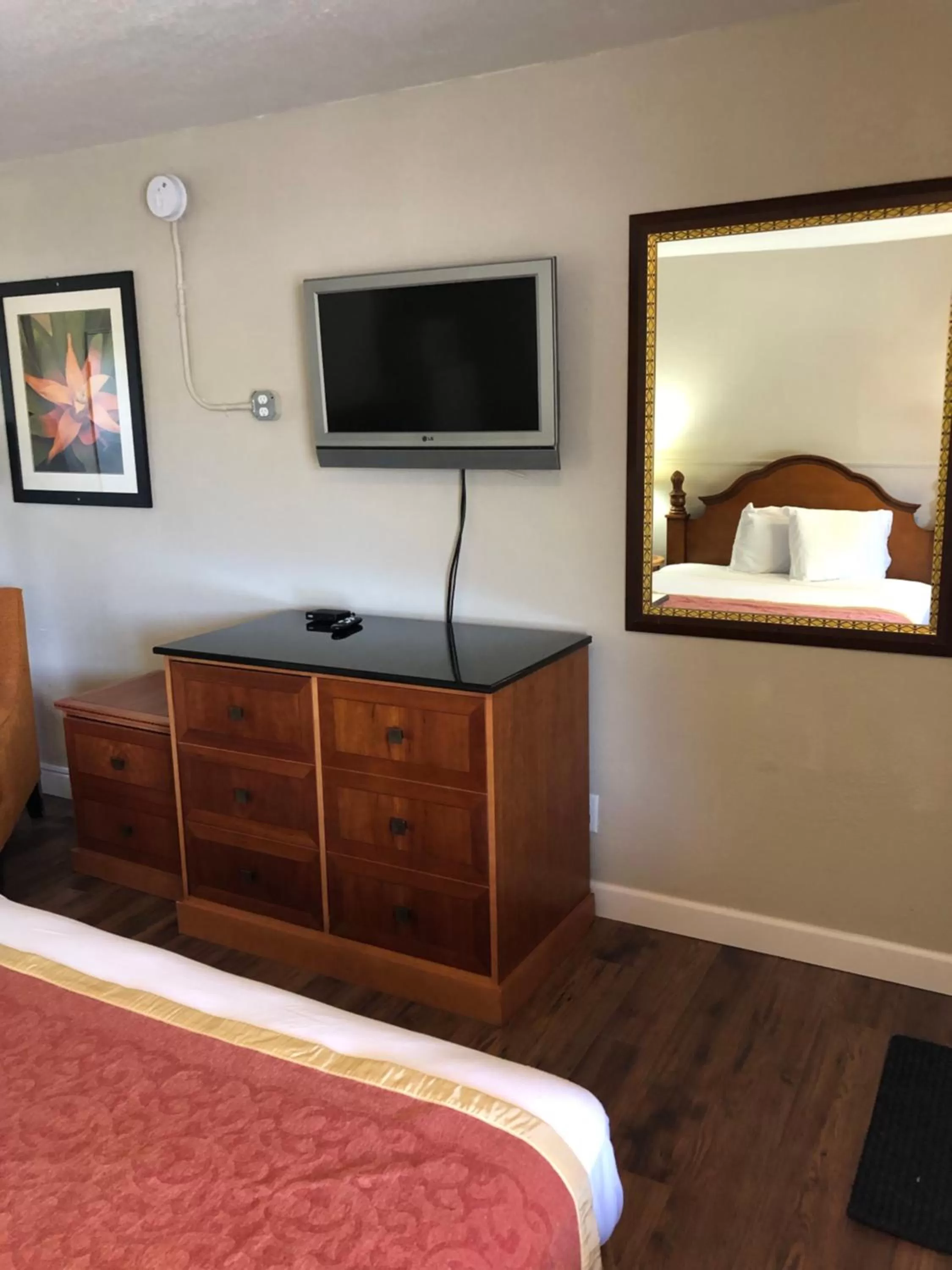 TV and multimedia, Bed in Ocala Cove Motel