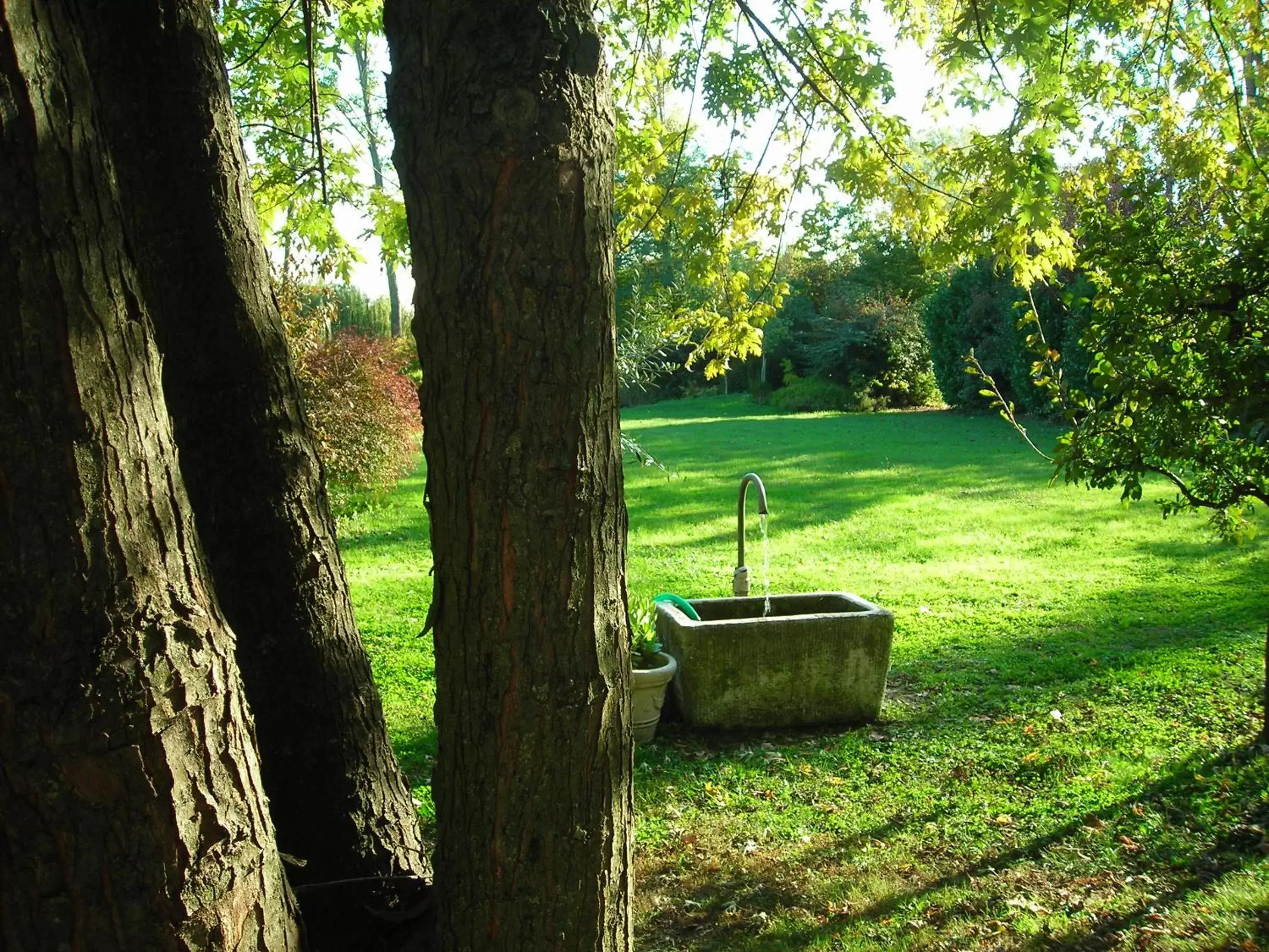 Garden in SoloQui