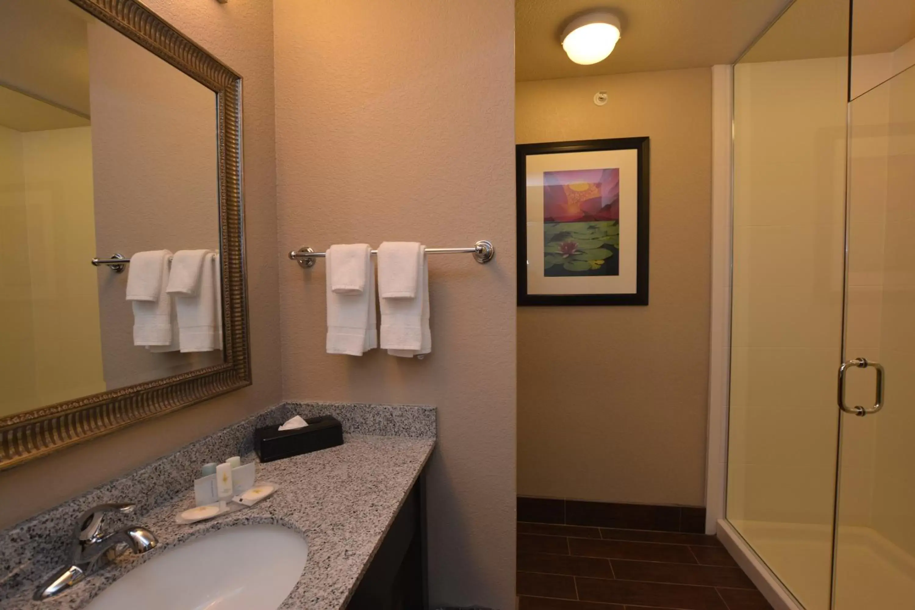Standard King Room - Non-Smoking  in Comfort Inn & Suites Newcastle - Oklahoma City